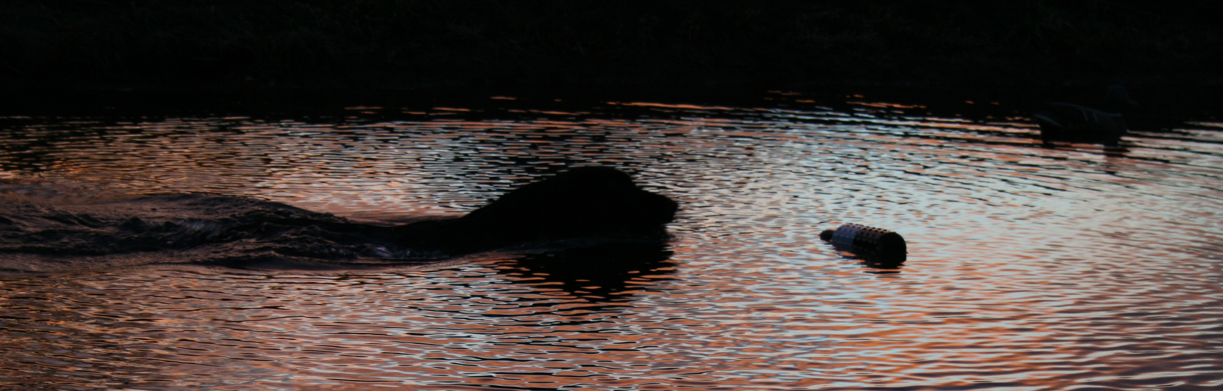 Sunset Reflection.jpg