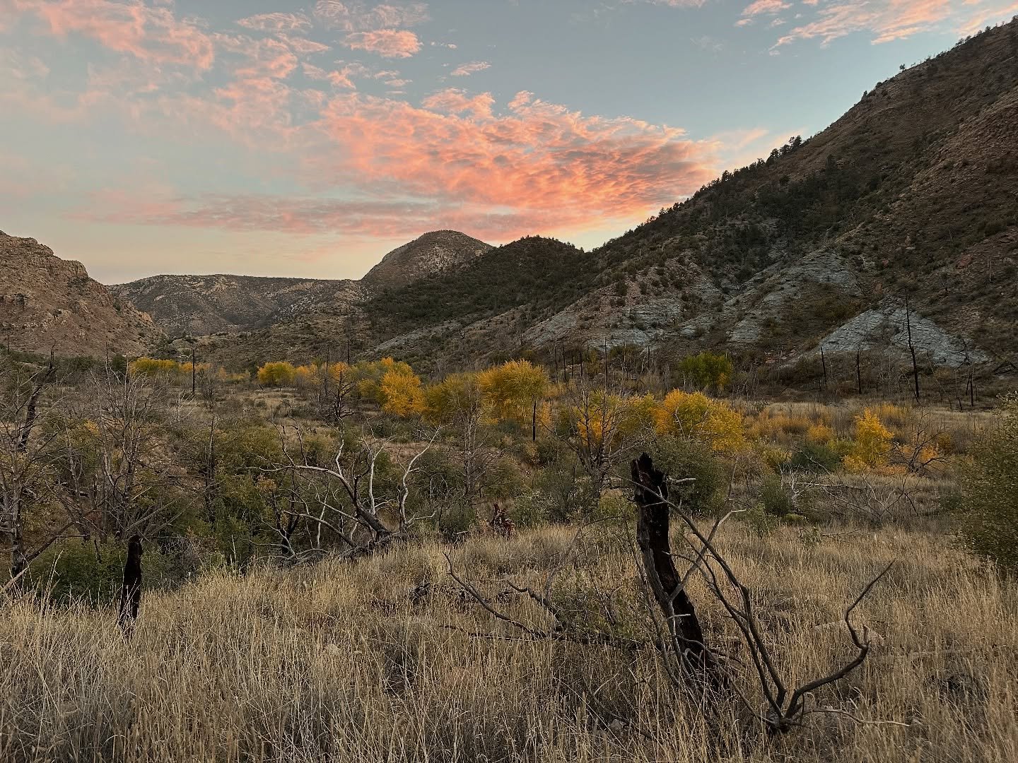 A fruitful hunt in the Aldo Leopold Wilderness with my best bud @after5crew . No deer were had but adventure and gorgeous views were boundless.