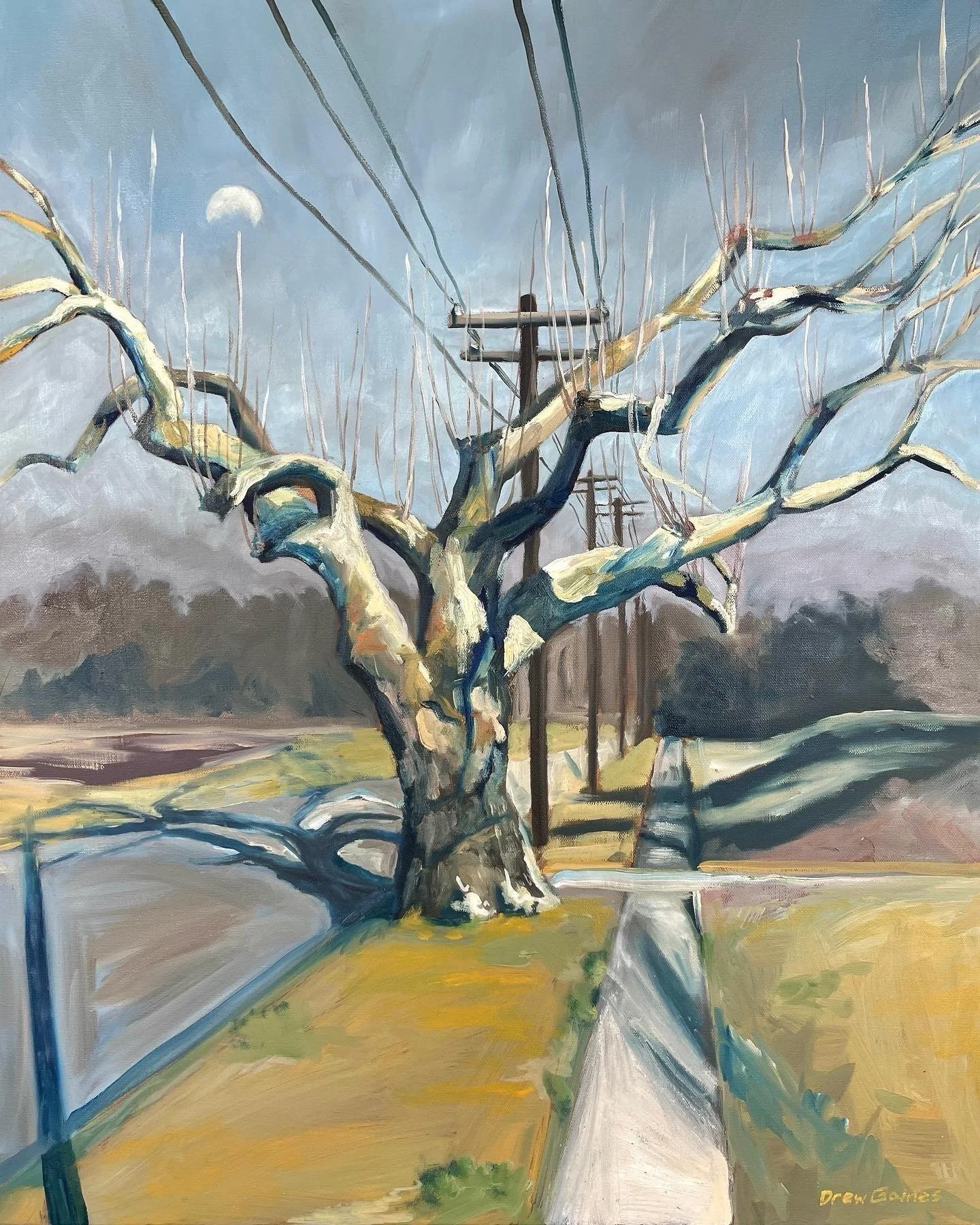 Texas Sycamore, a plein-air painting from a few years back. I hear Denton may get some winter weather this week. Oil on canvas, 2022 (sold)
.
.
#pleinairpainter #oilpainting