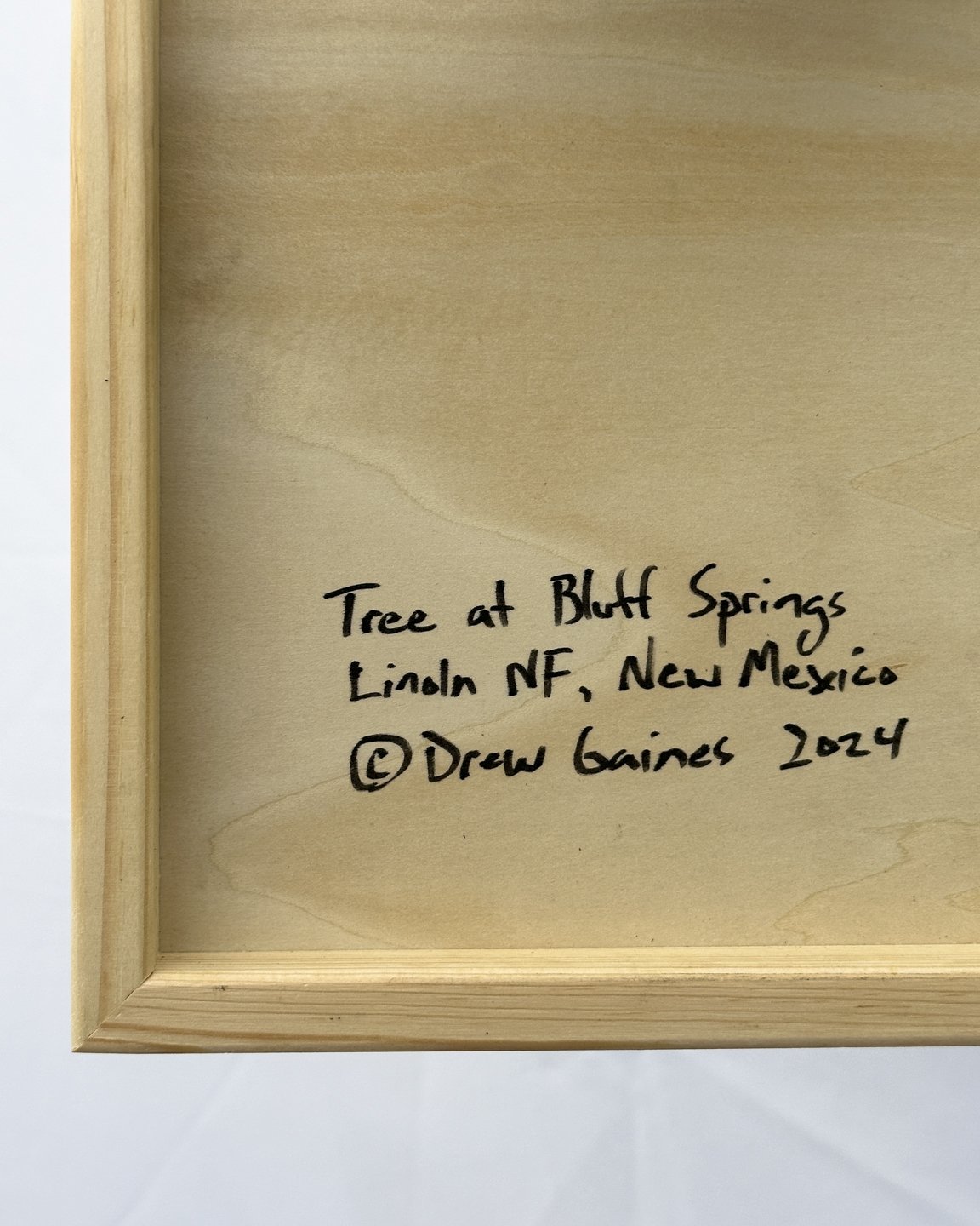 Tree at Bluff Springs-1.jpg