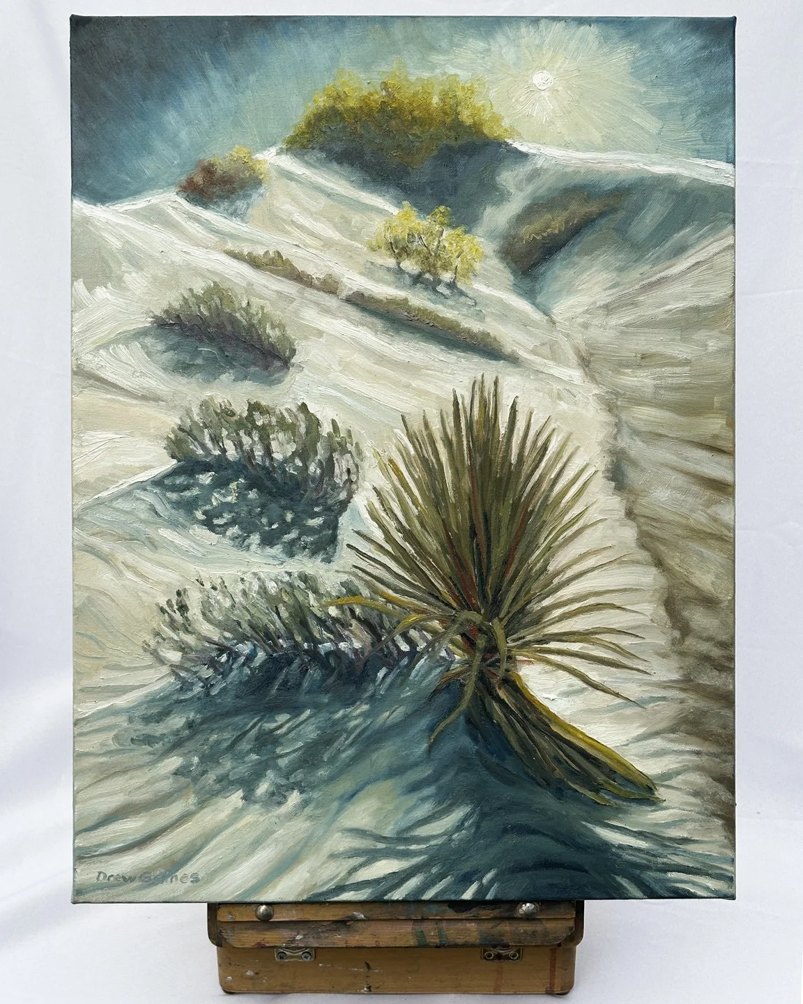 Product Photos 8_24-83.jpg