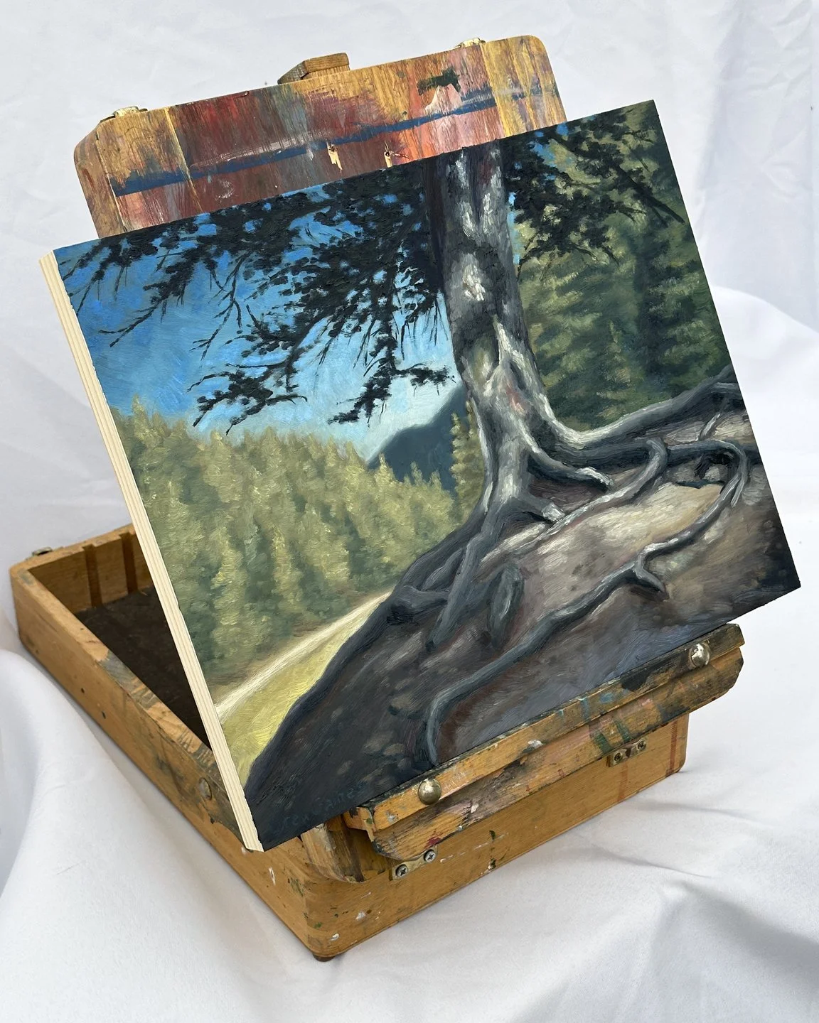 Tree at Bluff Springs-2.jpg