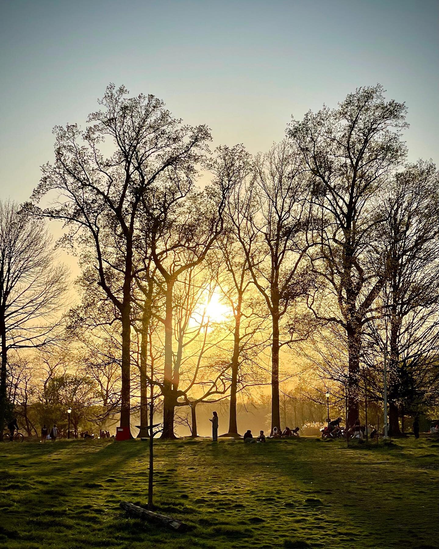 Prospect Park, April 2023

#ny #brooklyn #prospectpark #spring #sun #shotoniphone