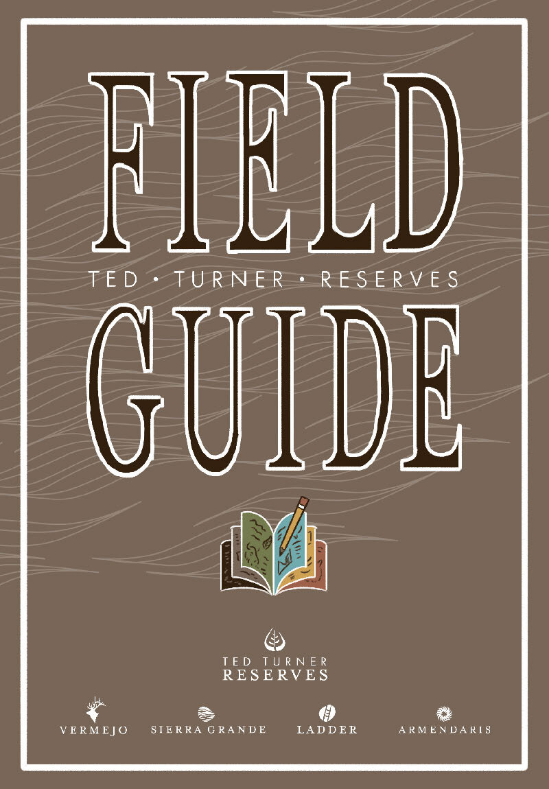 TTR_Field Guide_R2_Presented 032719_Page_01.jpg