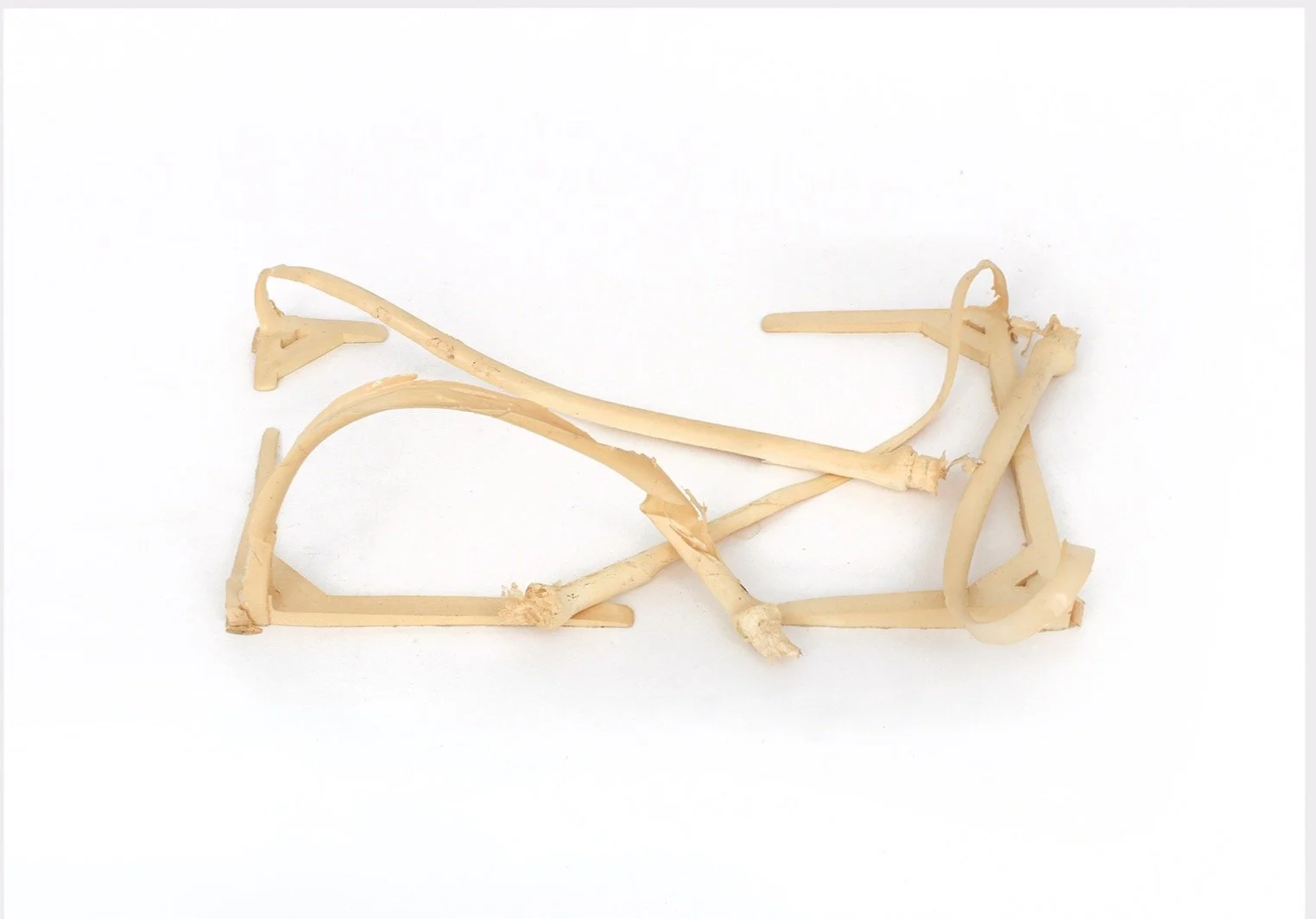 Imports - 1 of 1 (3).jpeg