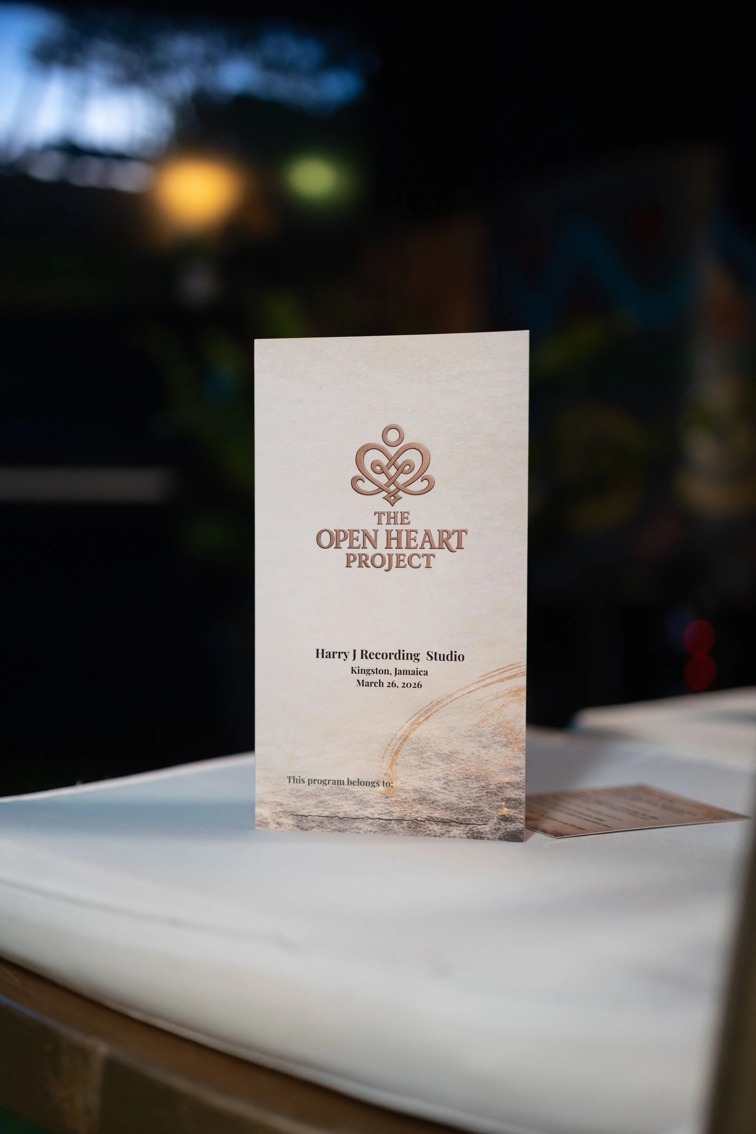 Jah9's Open Heart Project Launch Gallery 01