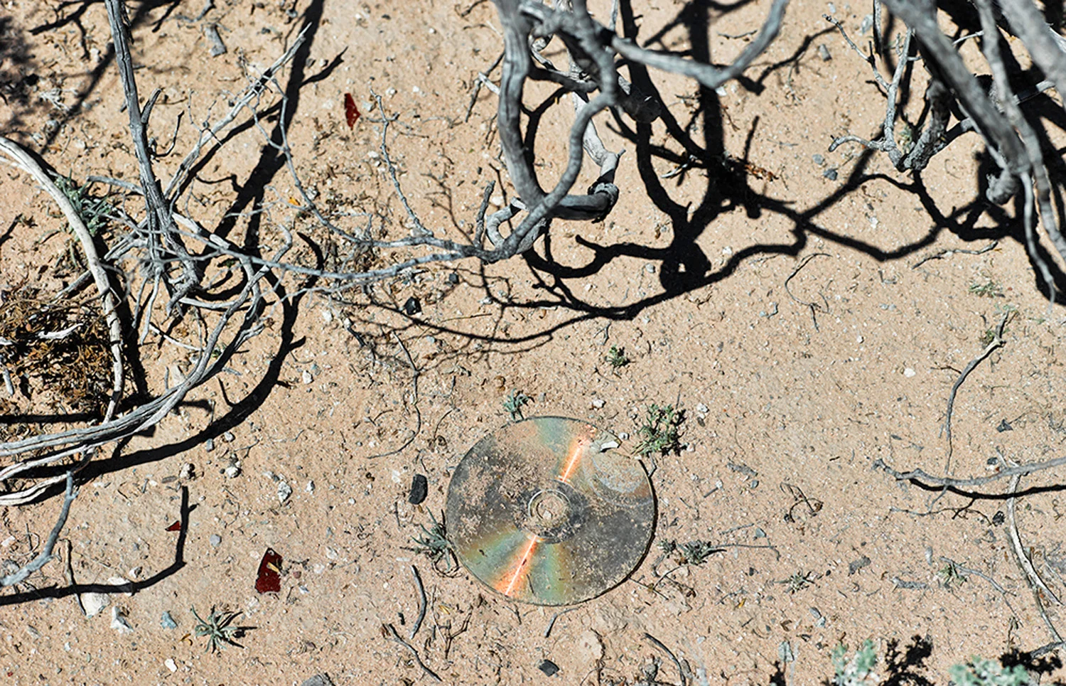 Music CD discarded by traveler, Cabeza Prieta, 2013