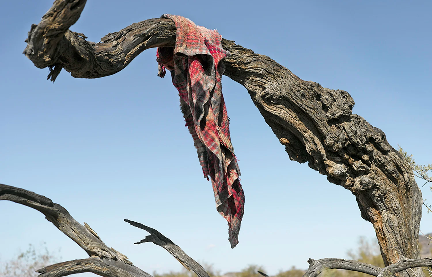 Blanket left by passing migrant, 2013