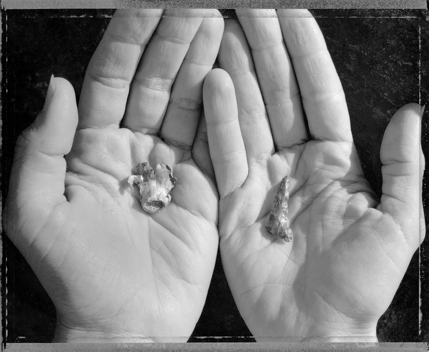 Arrowhead and bullet found at campsite used by hunters for centuries, 1993