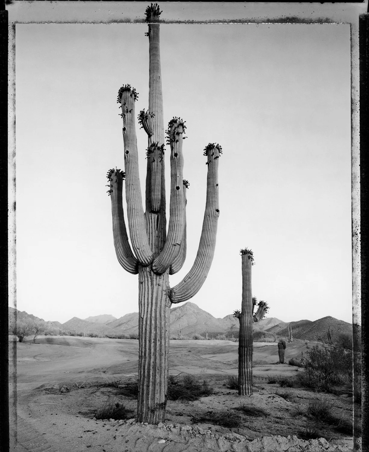 Longest day: first light of the solstice, Carefree, Arizona, 1984