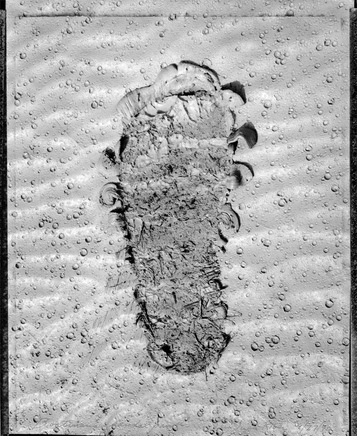Boatman's sandal print, San Juan River, 1990