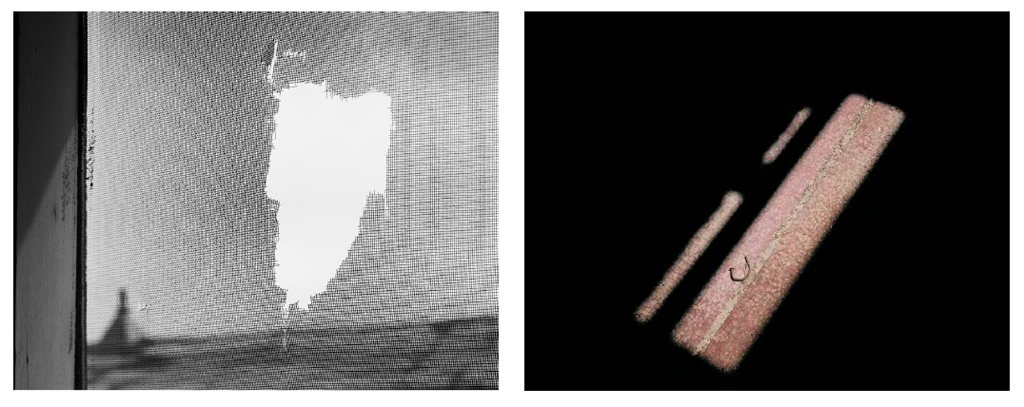 Hole in screen, enlisted men's barracks; Bent nail on floor, enlisted mens' barracks