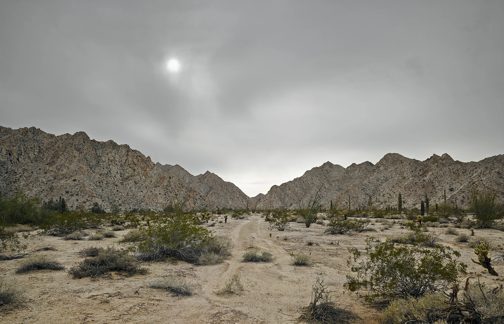 Faint trail, granitic mountains near Raven Butte, 2013