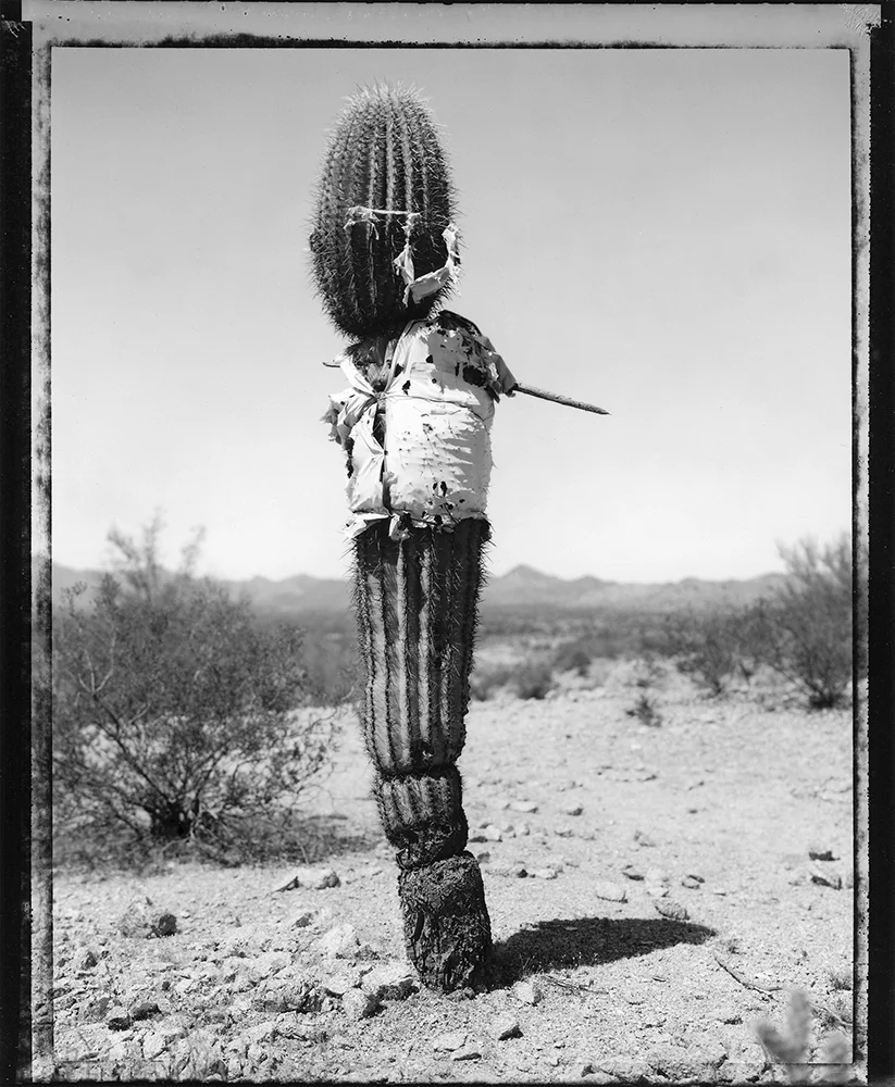 Saguaro with shirt at the US - Mexico border, 1993