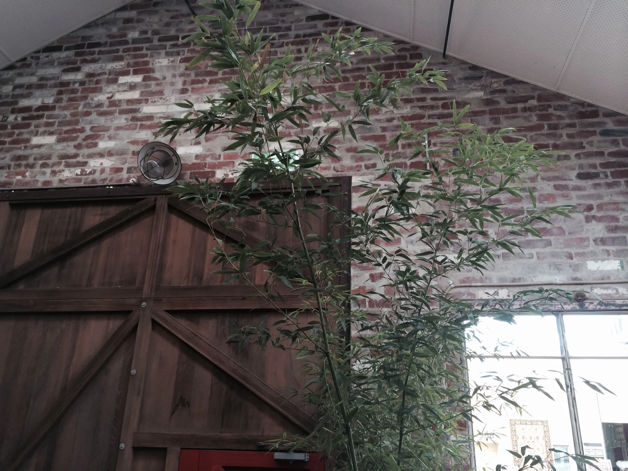 Recycled Bricks Melbourne