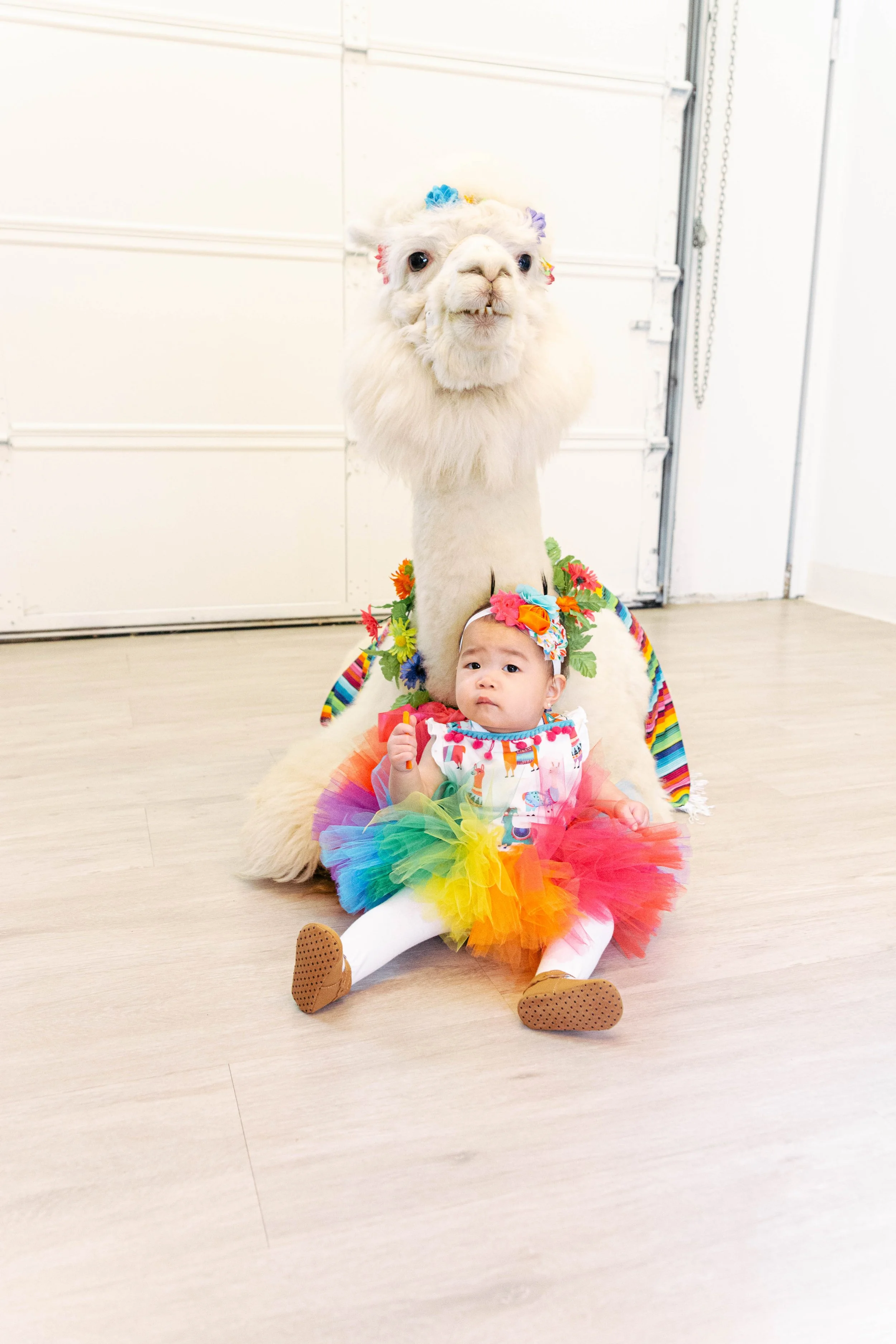 Arya's Birthday Party-37.jpg