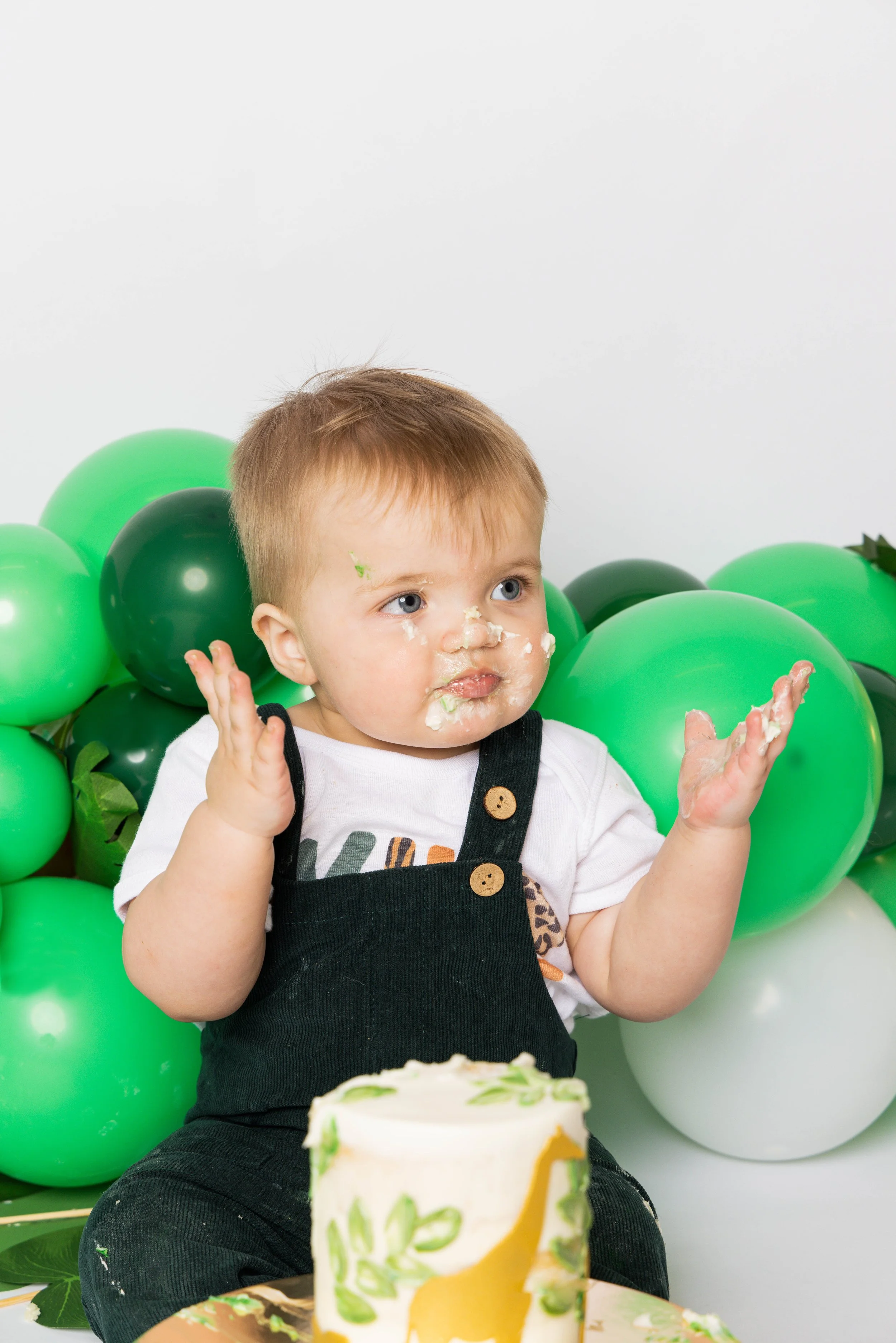 HUDSON CAKE SMASH-32.jpg