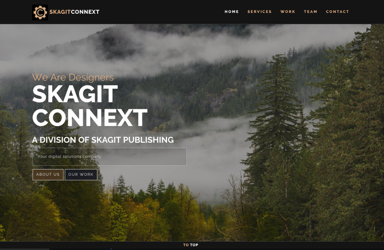 Screenshot of the SkagitConnext.com website.