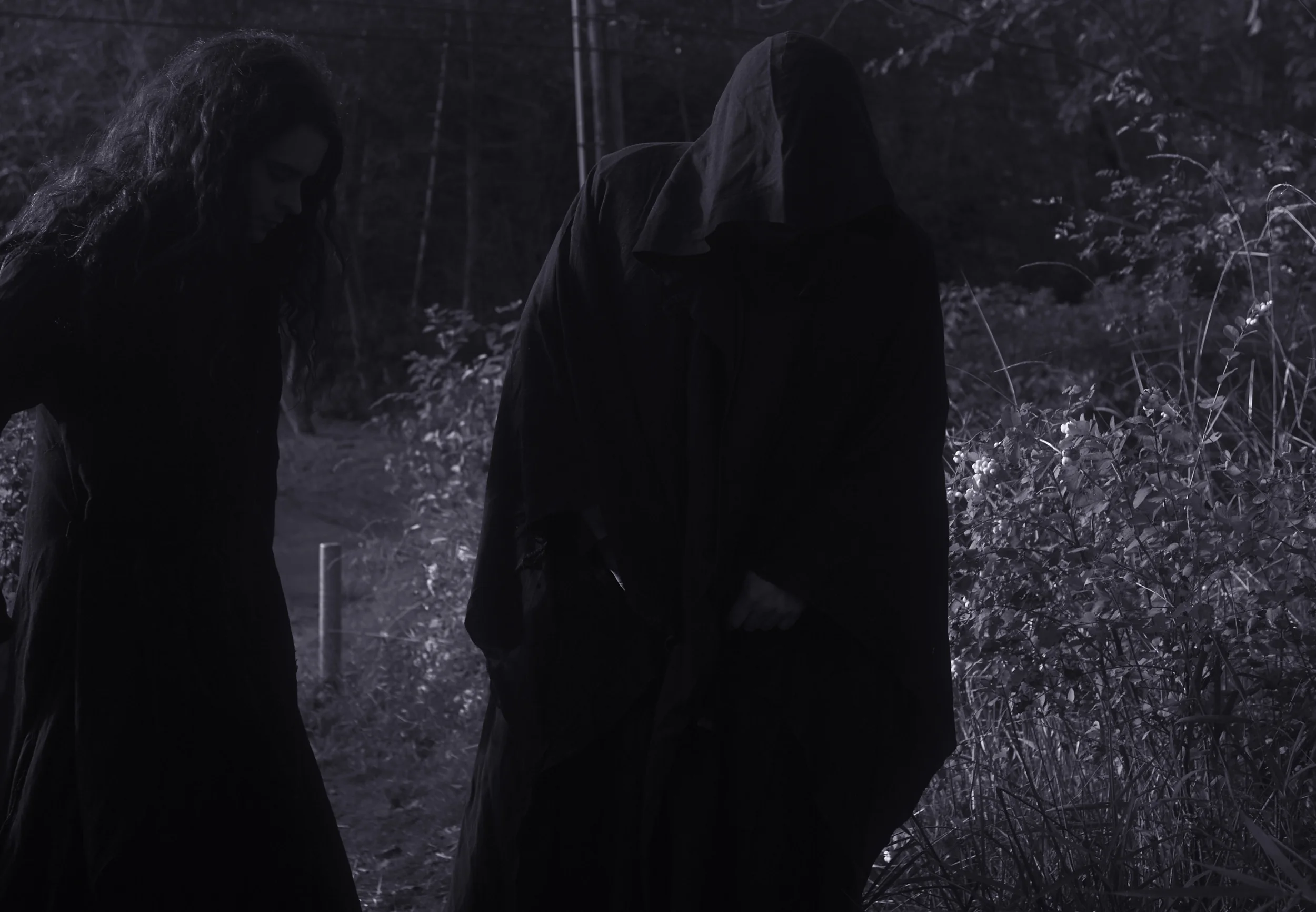 SUNN O))) DAZED & CONFUSED SESSION-002460.jpg