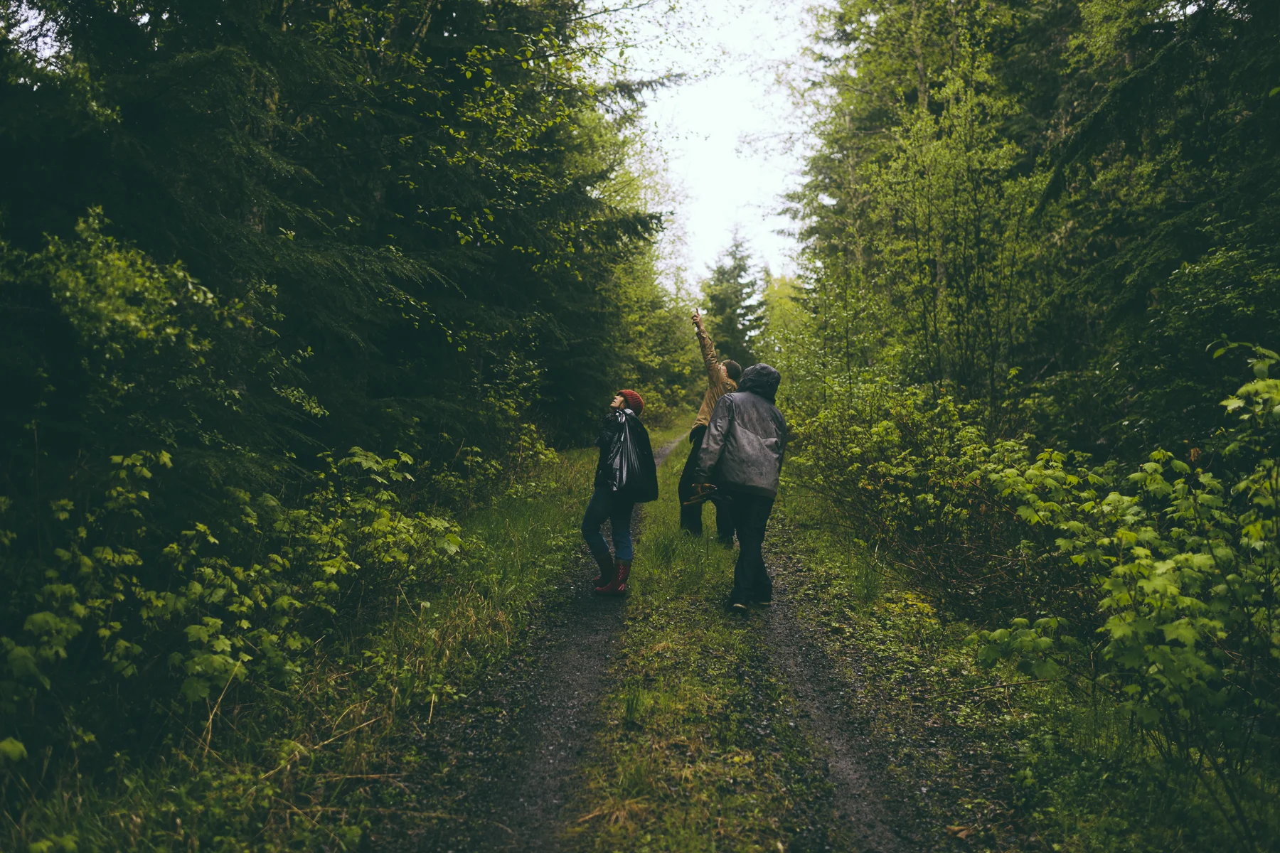forest time.jpg