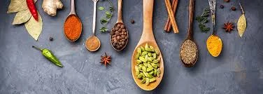 Principles of Ayurveda: Pitta Doshas and Subdoshas with Kristin Gould. 
