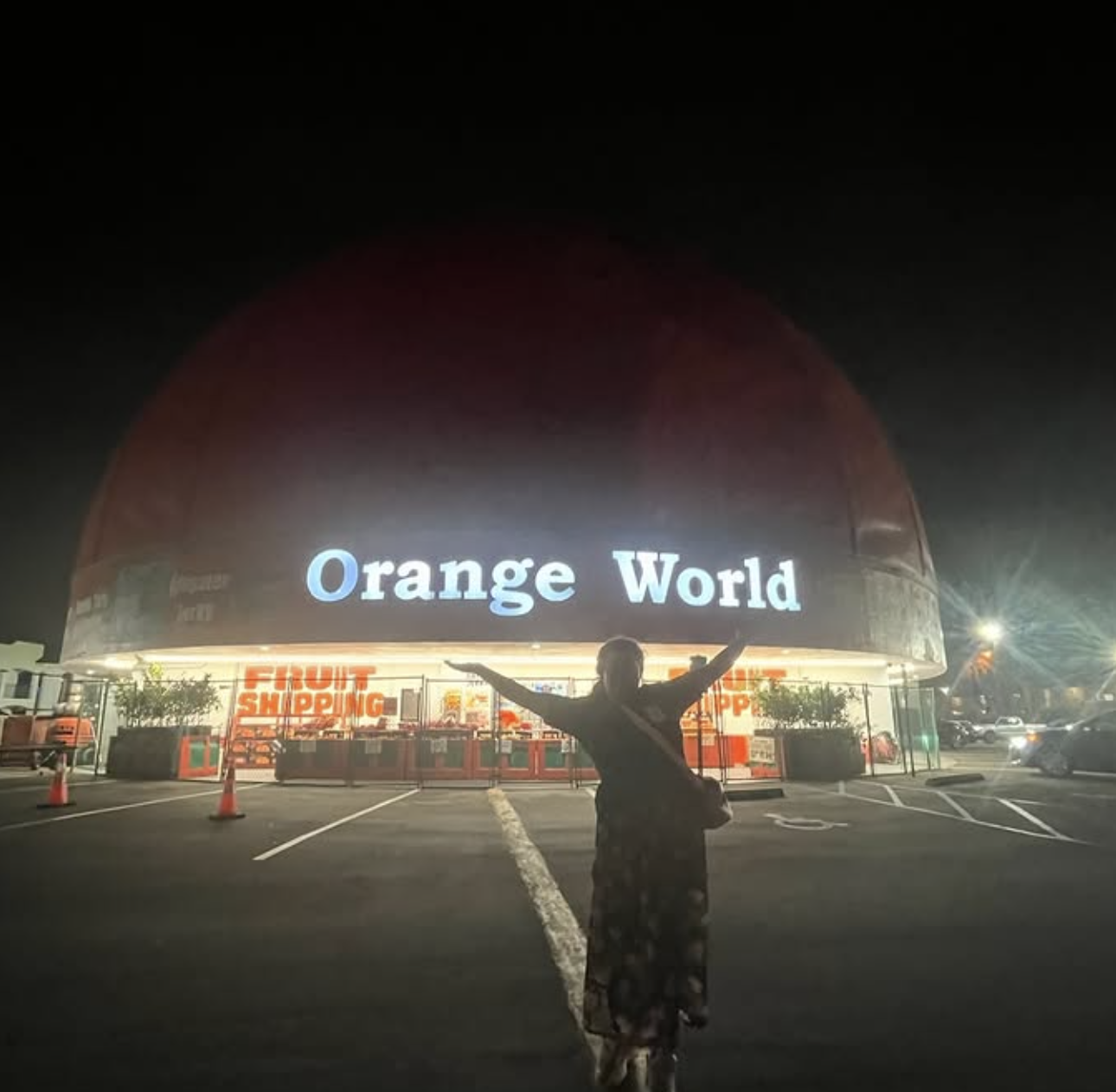 Screenshot 2026-01-23 at 10.26.58 PM.png