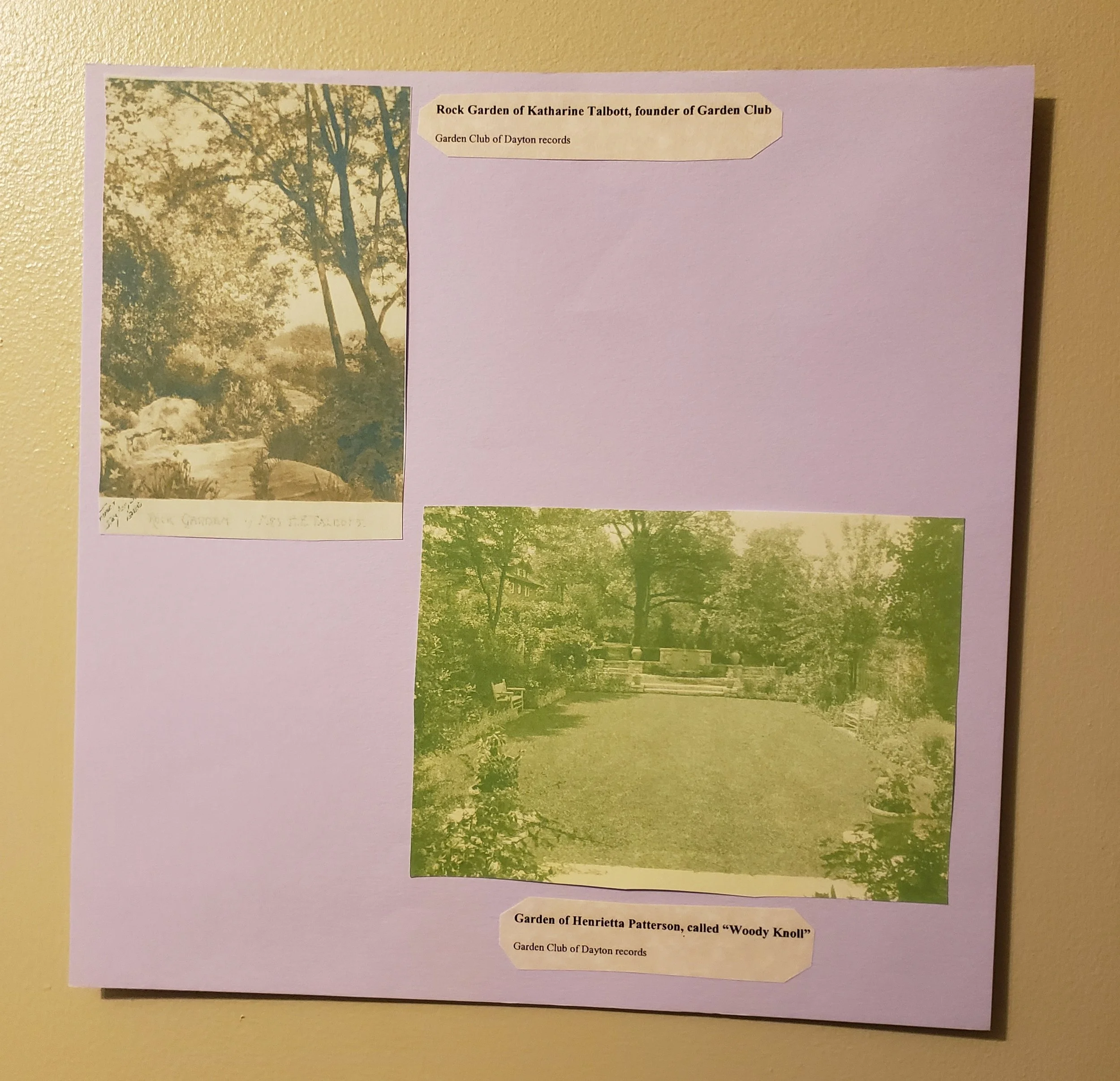 20181120_110517.jpg