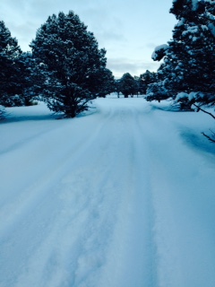 From the house, looking back toward the county road. 