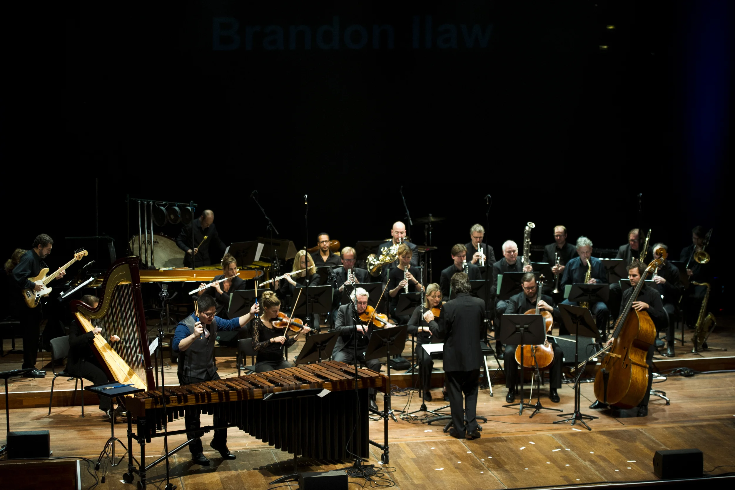TROMP2014FPerformanceBrandonIlaw006col.jpg