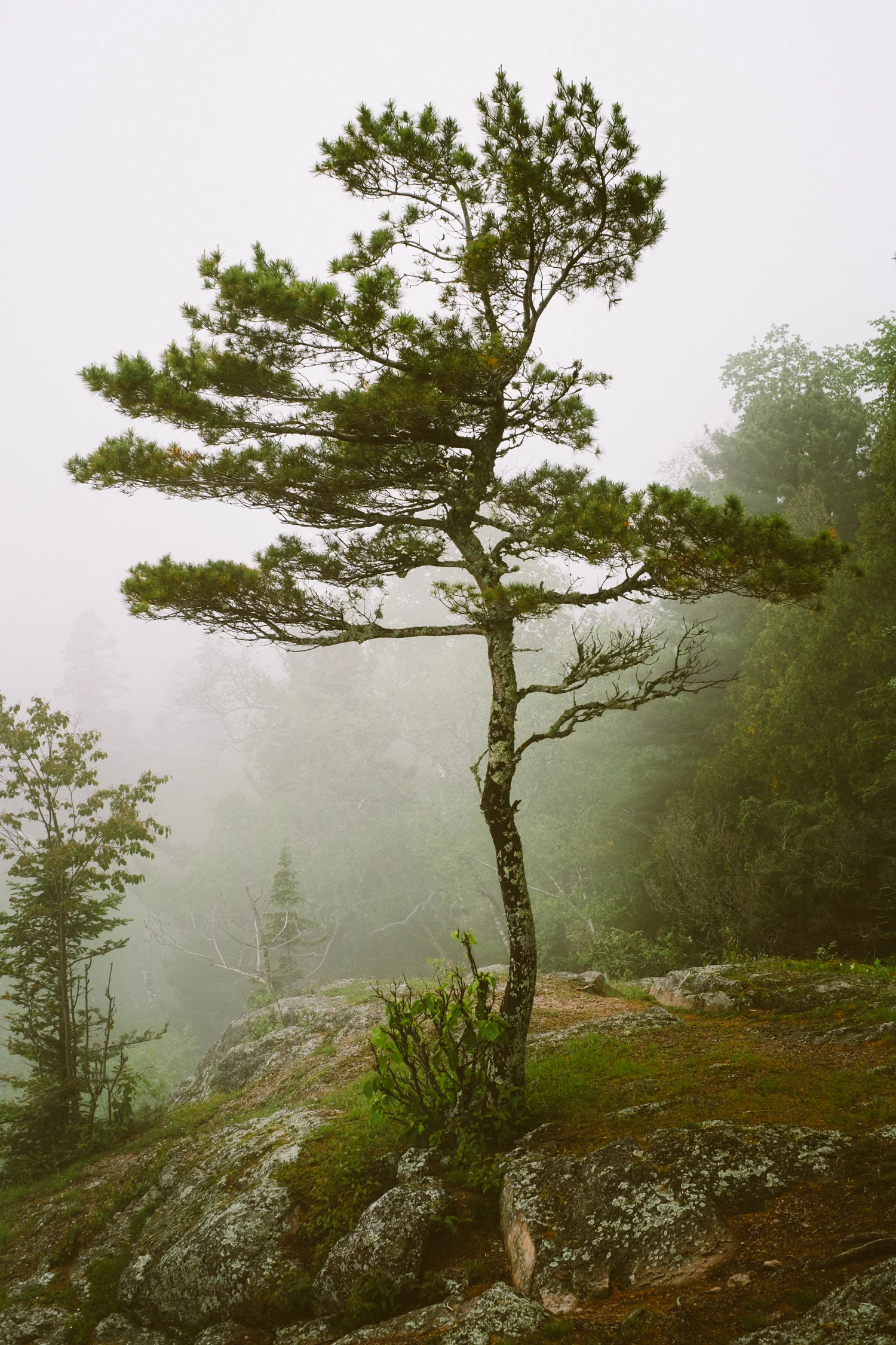 Tettegouche State Park