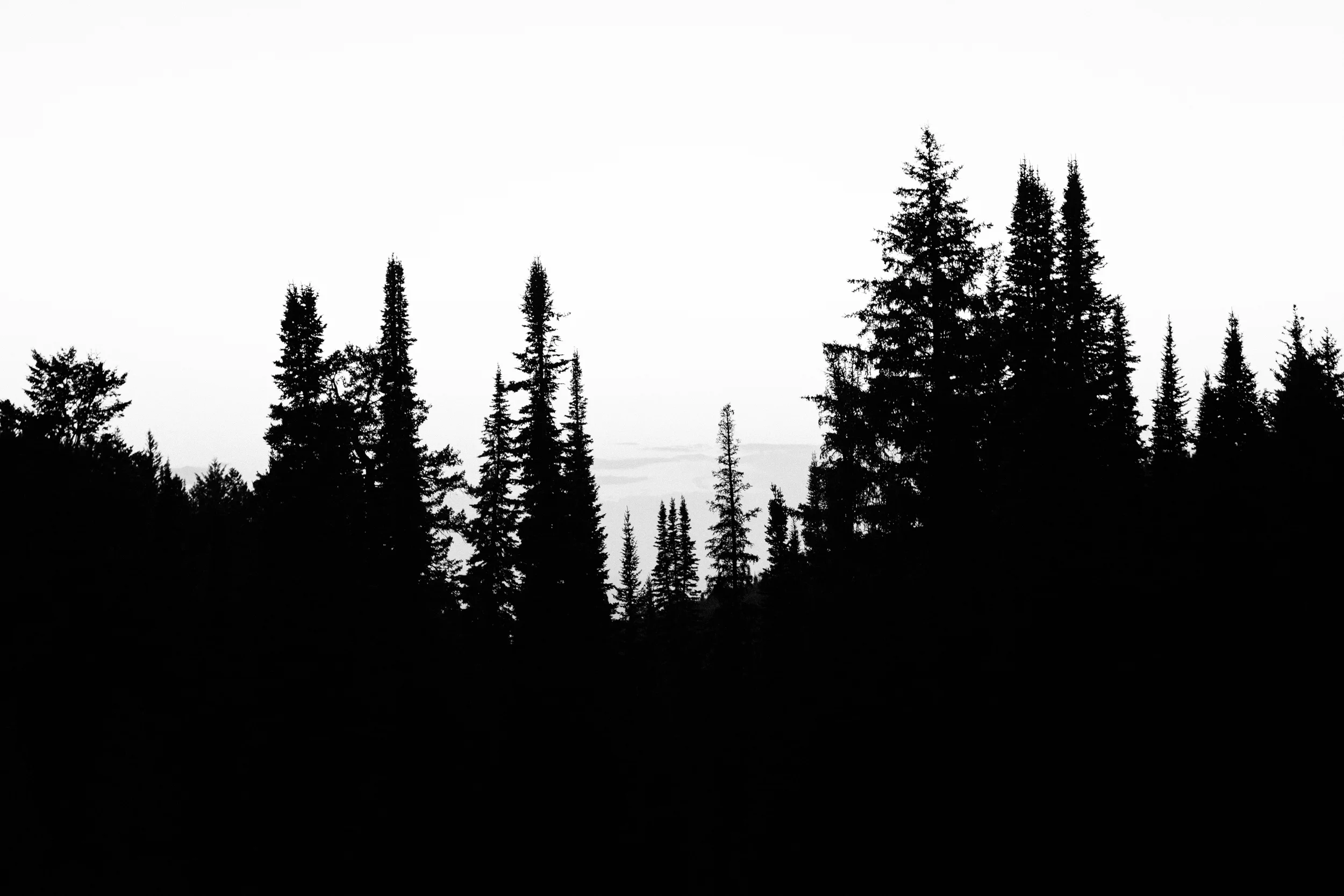 Joselyn & Tim BLOG-54.jpg