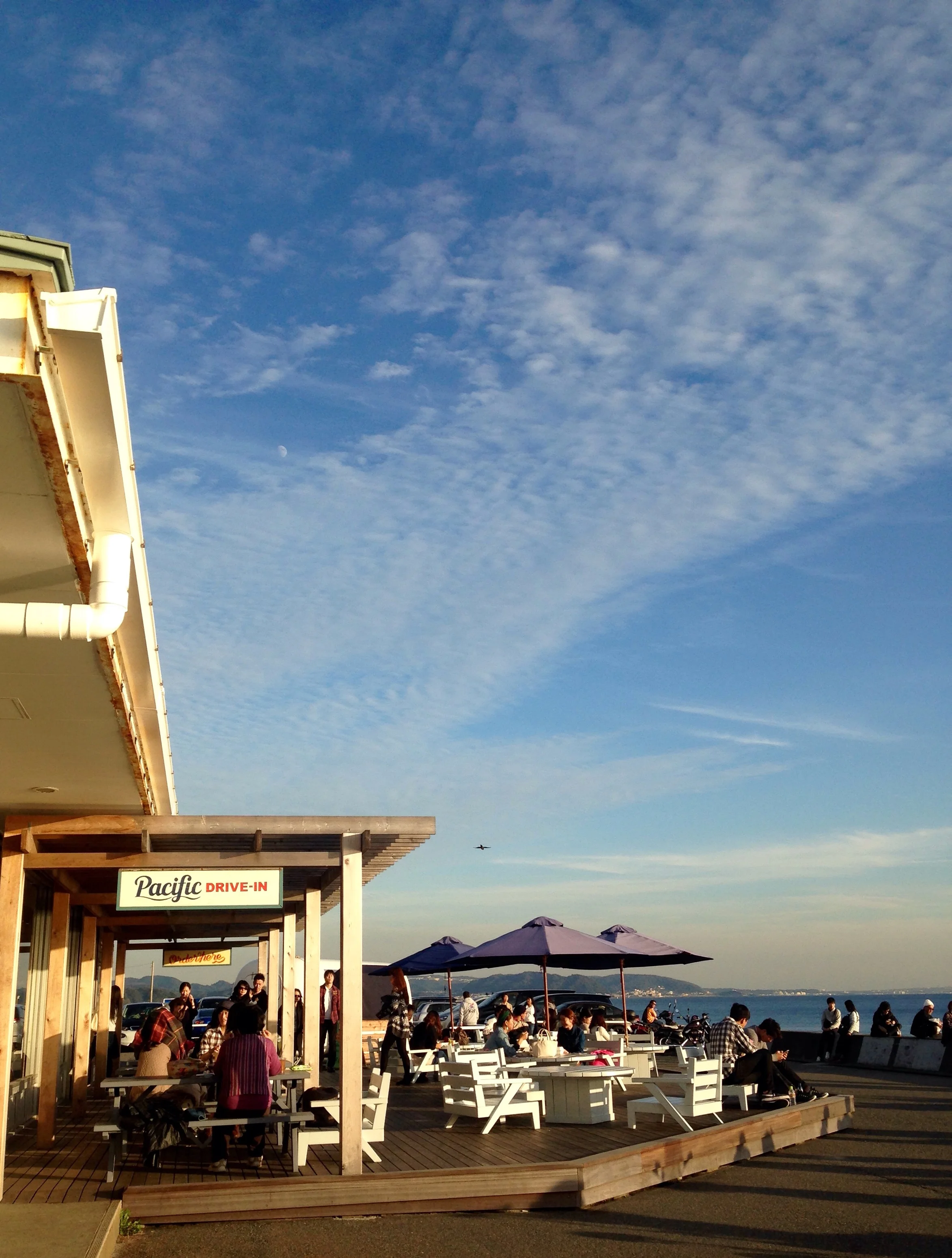 Pacific drive in along the coast. Somewhat reminds me of California!