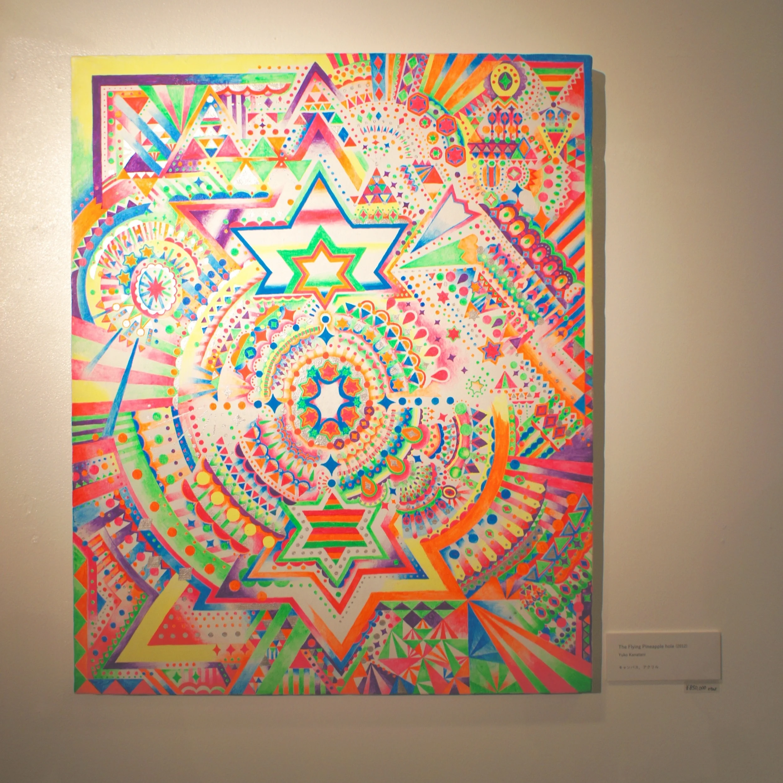 The Flying Pineapple hole - Yuko Kanatani 