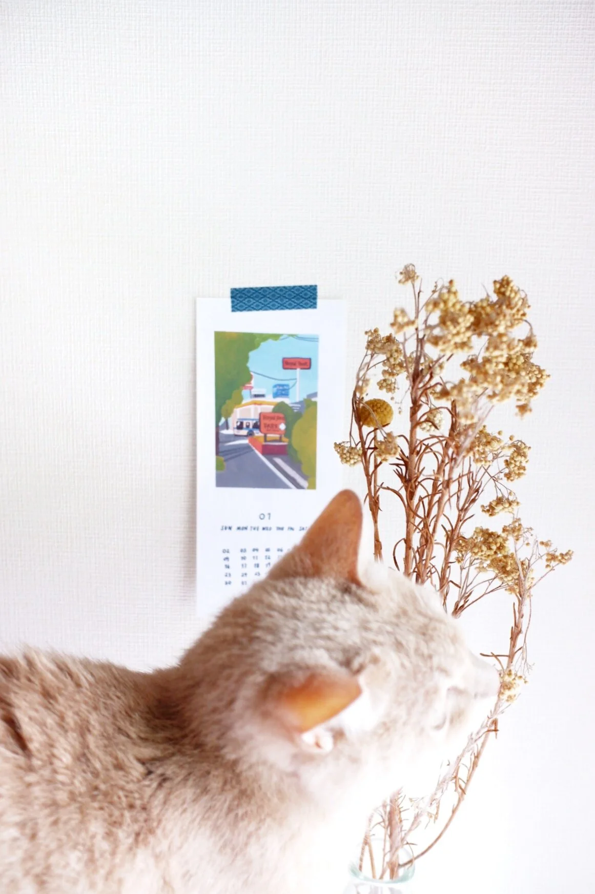 6C4F446C-207E-492E-B102-32A8853B18F1