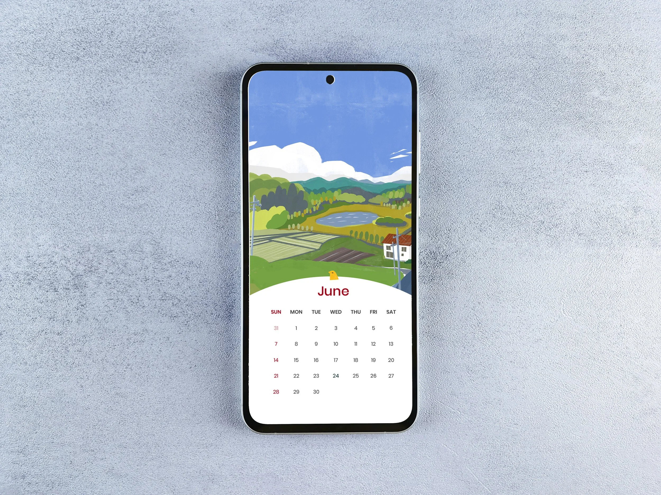 storeimg-phone.jpg