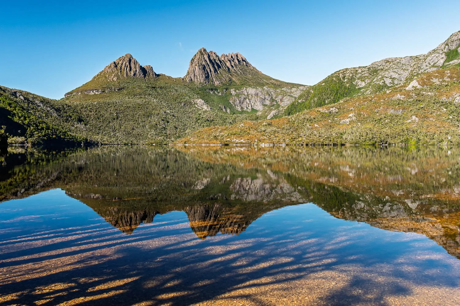 20260318_Tasmania_2895.jpg