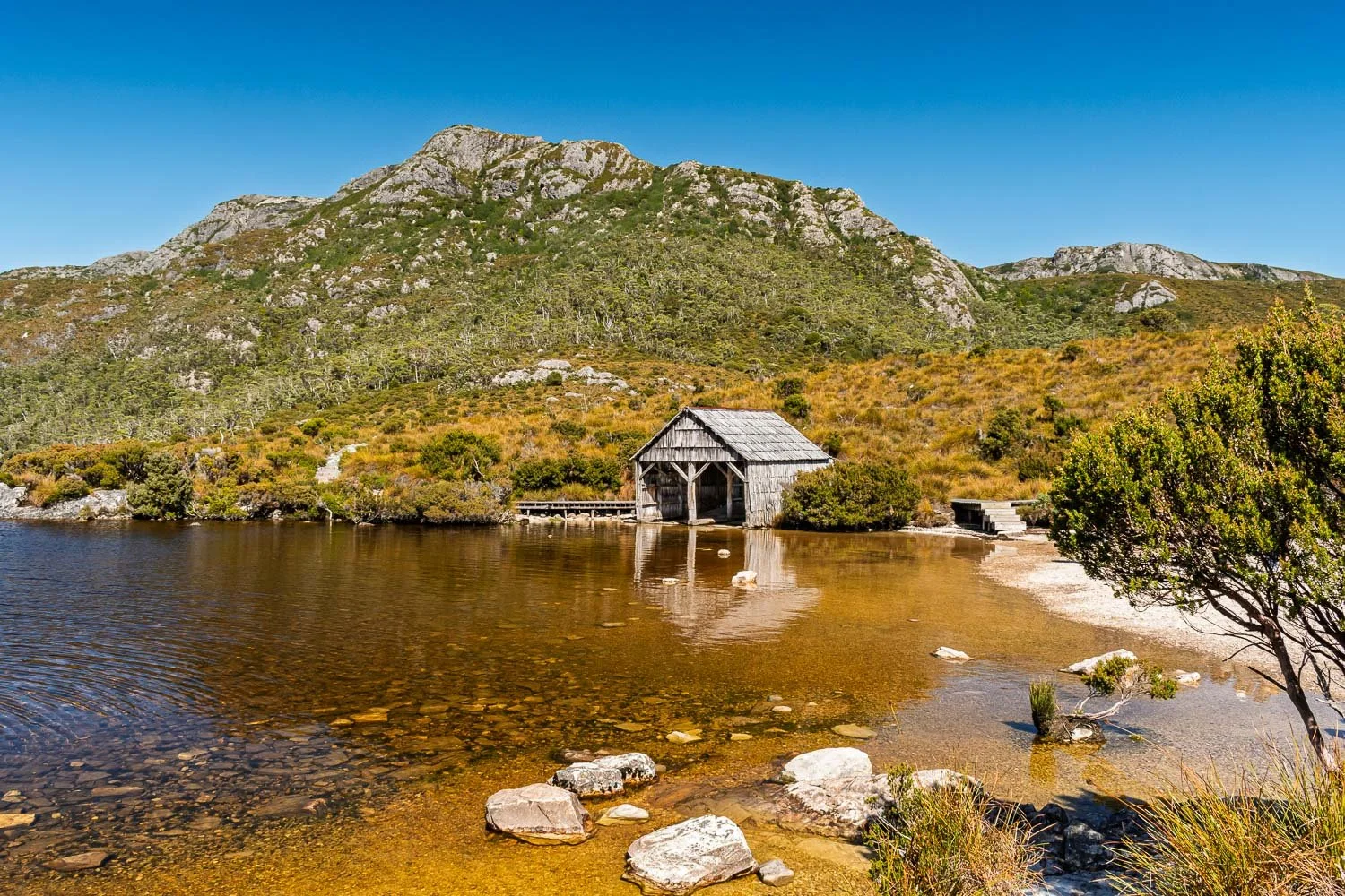 20260318_Tasmania_2905.jpg