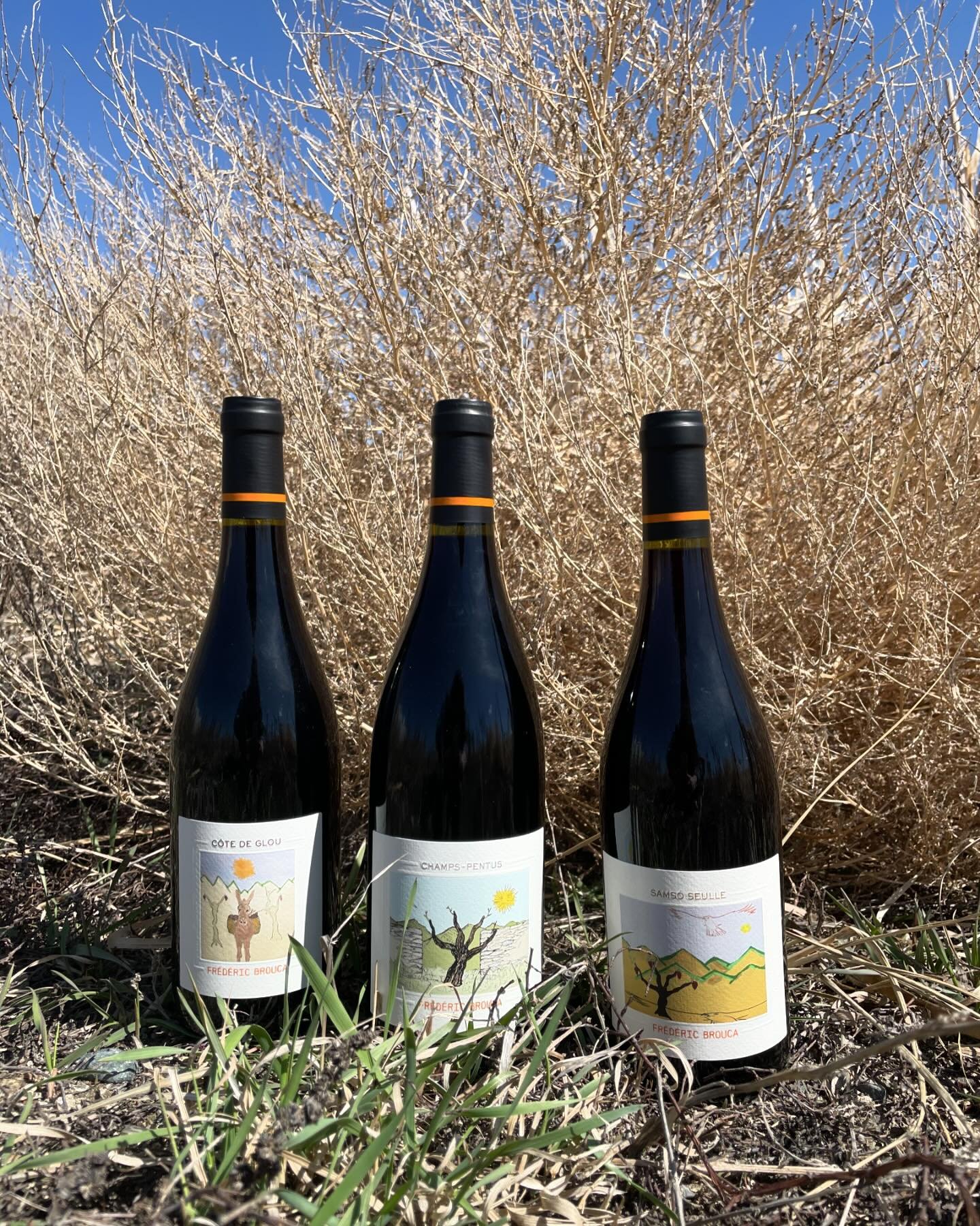 NEW ARRIVAL! ☀️

WELCOME 
FR&Eacute;D&Eacute;RIC BROUCA - FAUG&Egrave;RES, LANGUEDOC-ROUSSILLON, FRANCE 🇫🇷

C&Ocirc;TE DE GLOU 2021 - GRENACHE, SYRAH, CARIGNAN FROM 40 YR OLD VINES. AOC LANGUEDOC

CHAMPS-PENTUS 2021 - SINGLE VINEYARD GRENACH, SYRAH