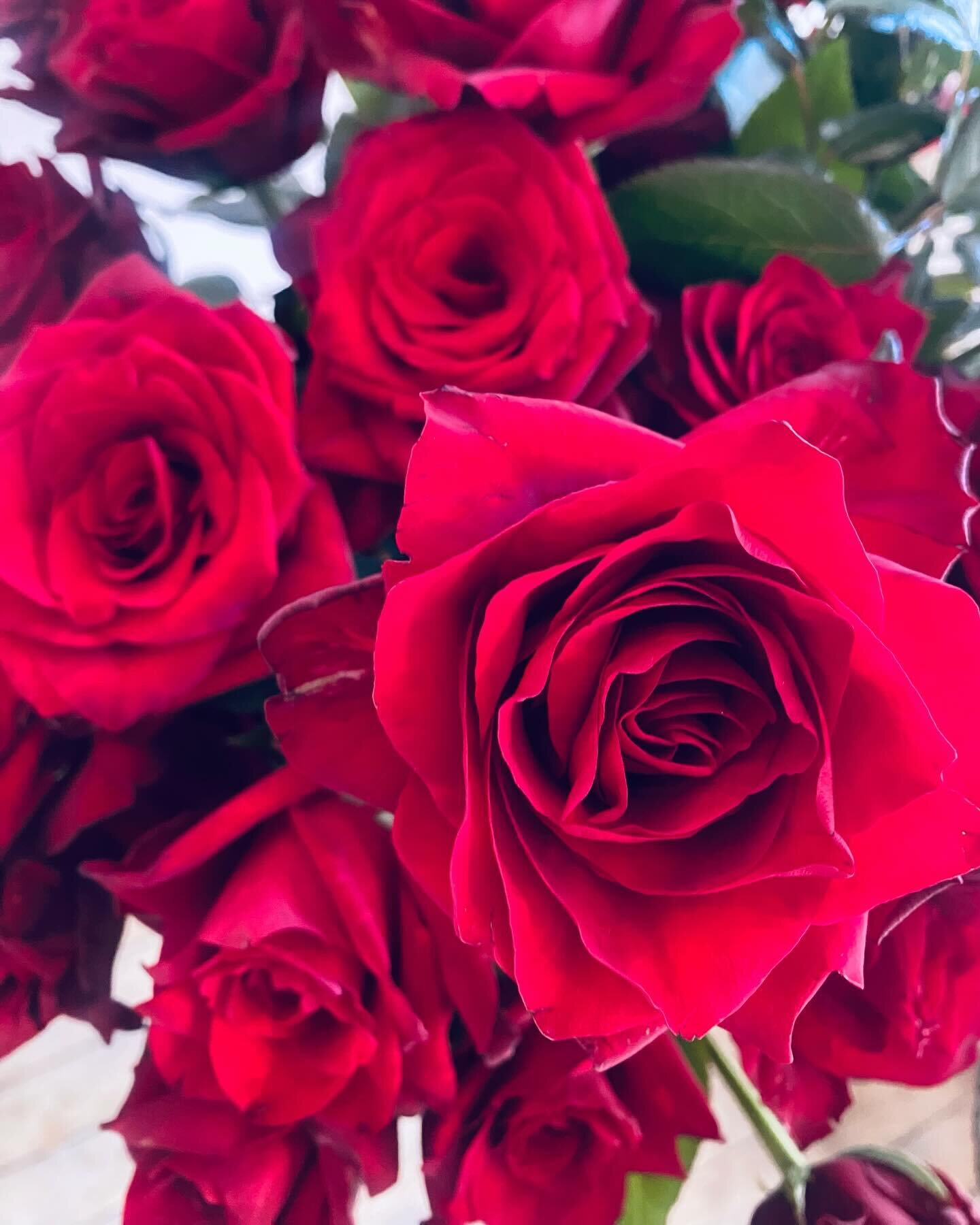 ROSES say &ldquo;I Love You&rdquo; 
Red means a deep passionate &amp; romantic love.
The perfect symbol for Valentine&rsquo;s Day.
🌹

#roses #valentines #feb14 #iloveyou #lovers