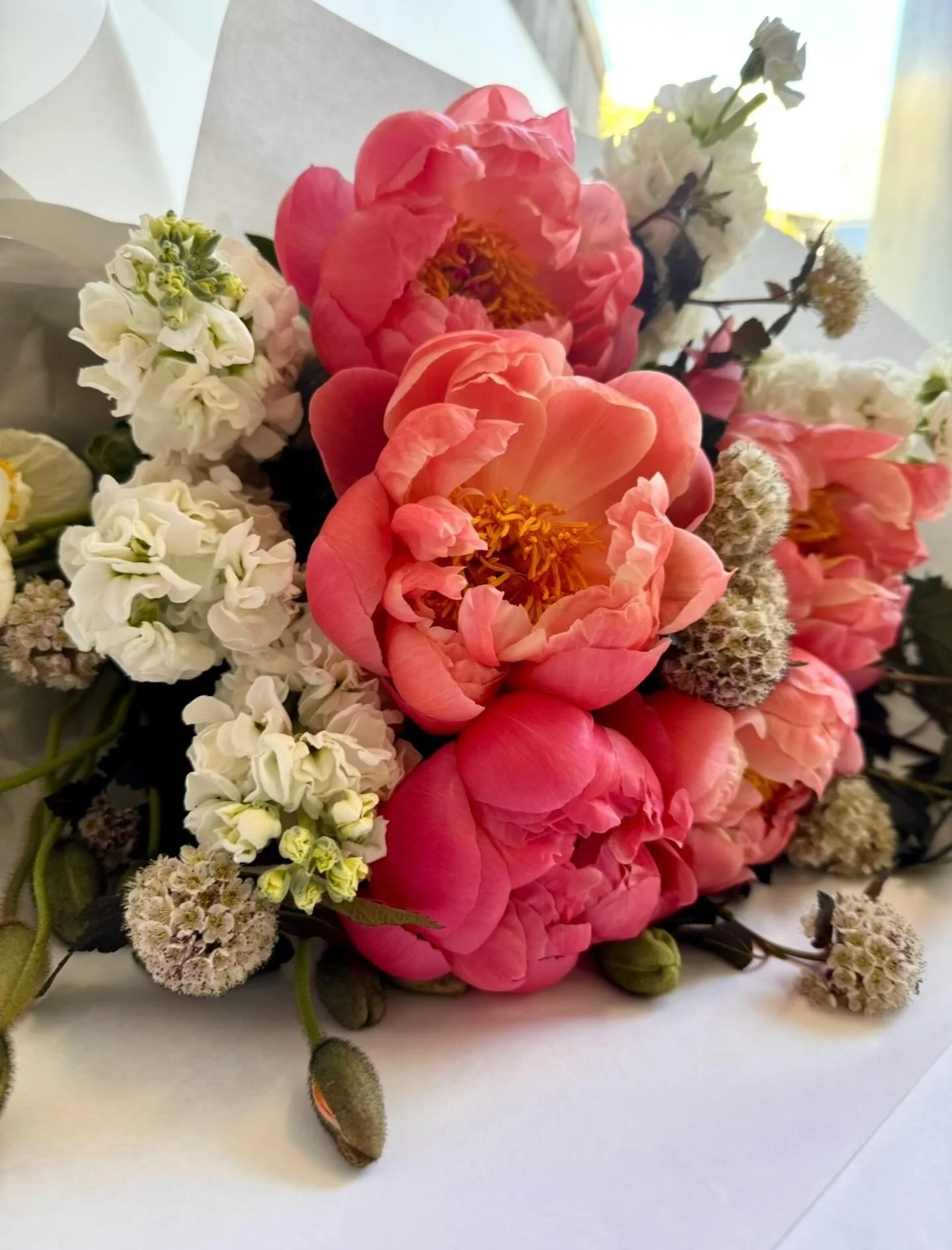 P &Egrave; O N Y, my love&hellip; 💫

#bouquet #lovewhatyoudo #anniversary