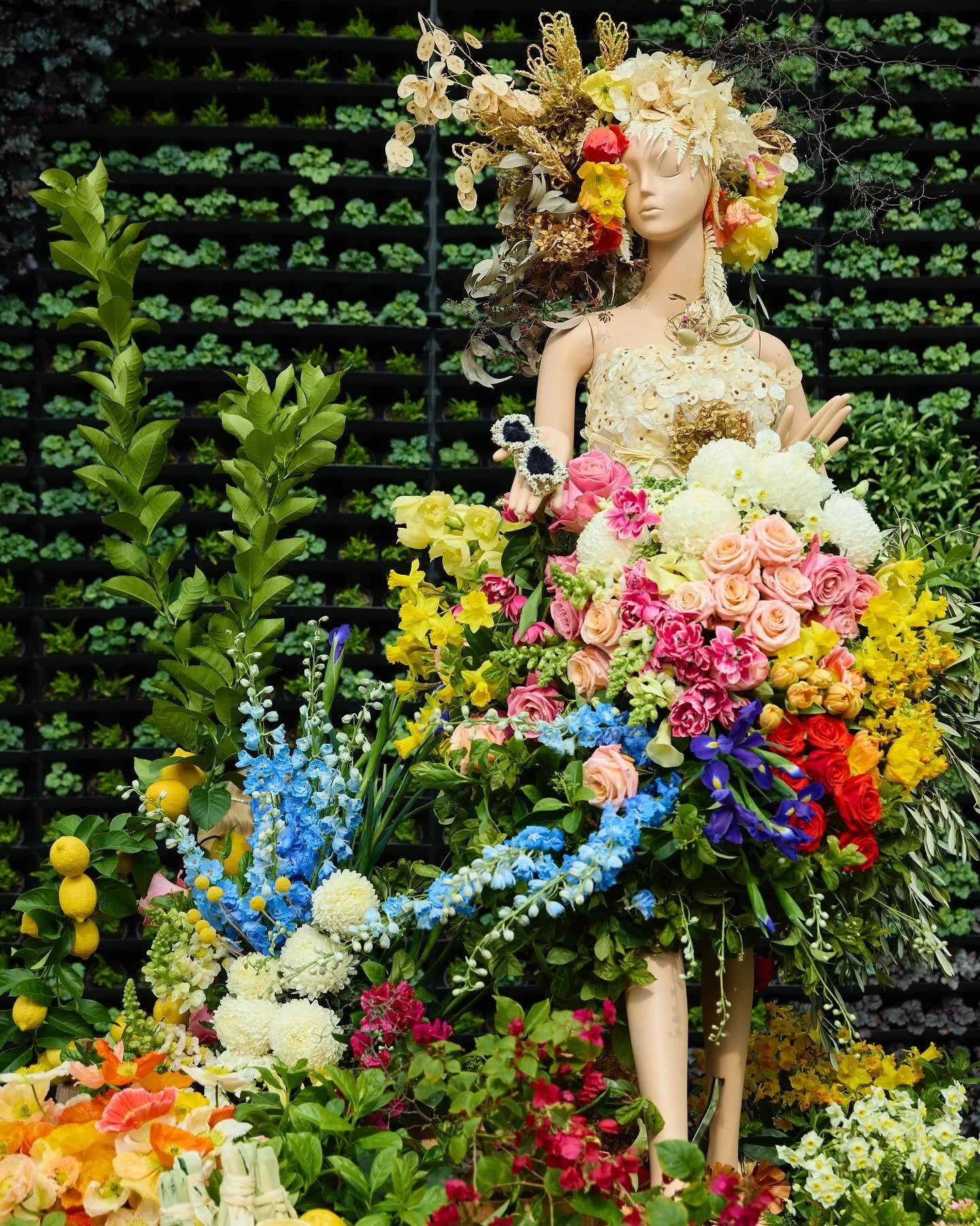ITALY my love&hellip;. 🍋🇮🇹

We are very proud to present our fresh floral mannequin on display now @botanicsydney for @fleursdevilles.

The Voyage show features destinations from around the world.

Our city is Southern Italy. 

Our beauty is a gla