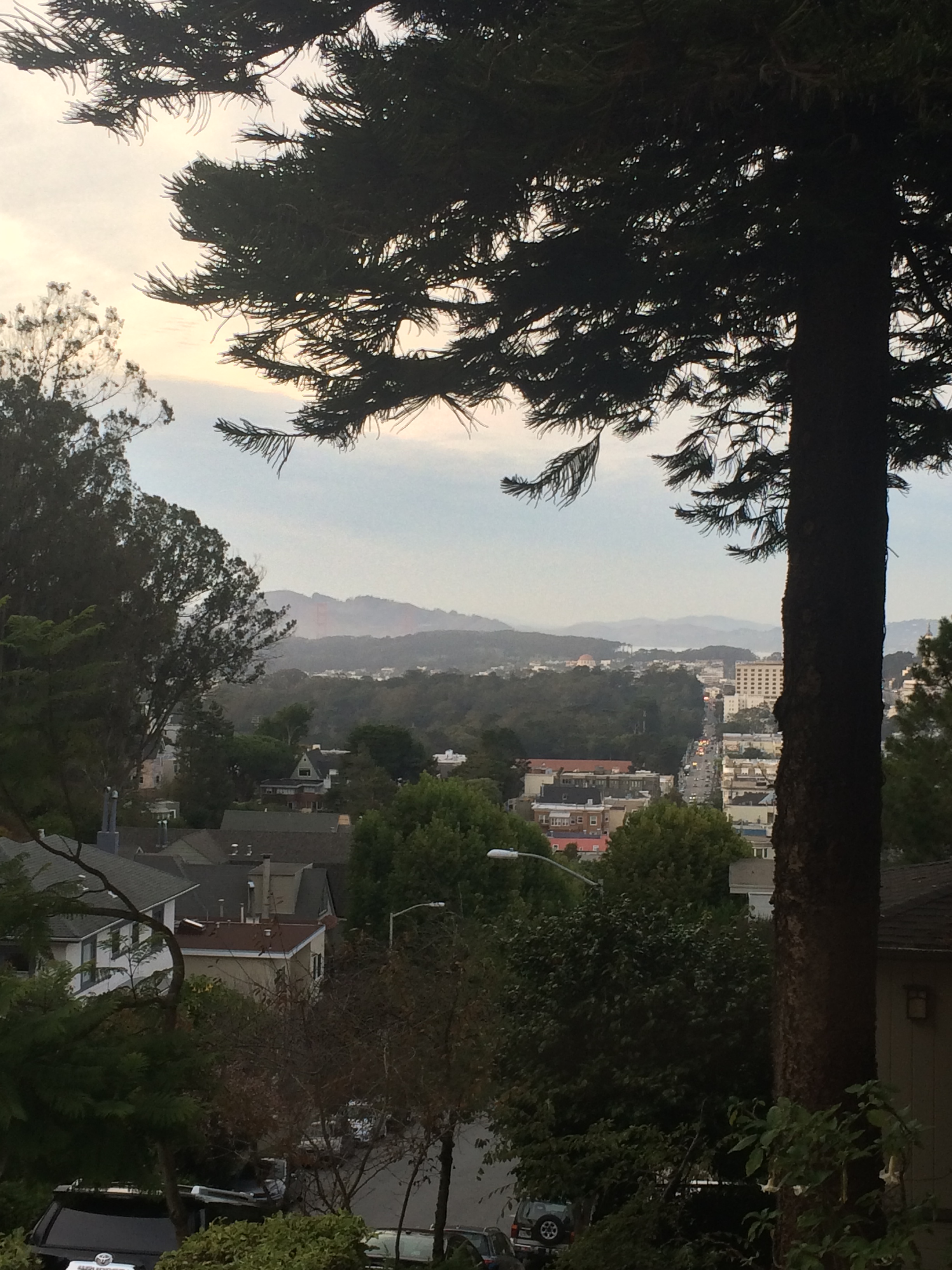 2015-10-07 18.13.35.jpg