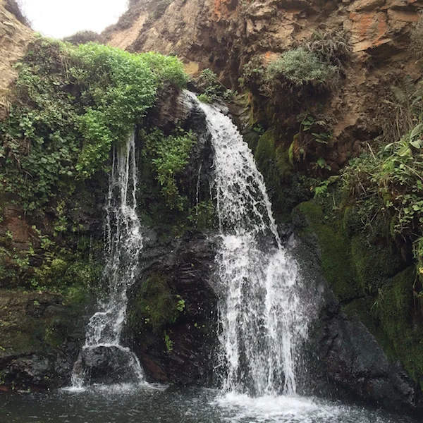 Waterfall near the end of the Alamere Falls hike.