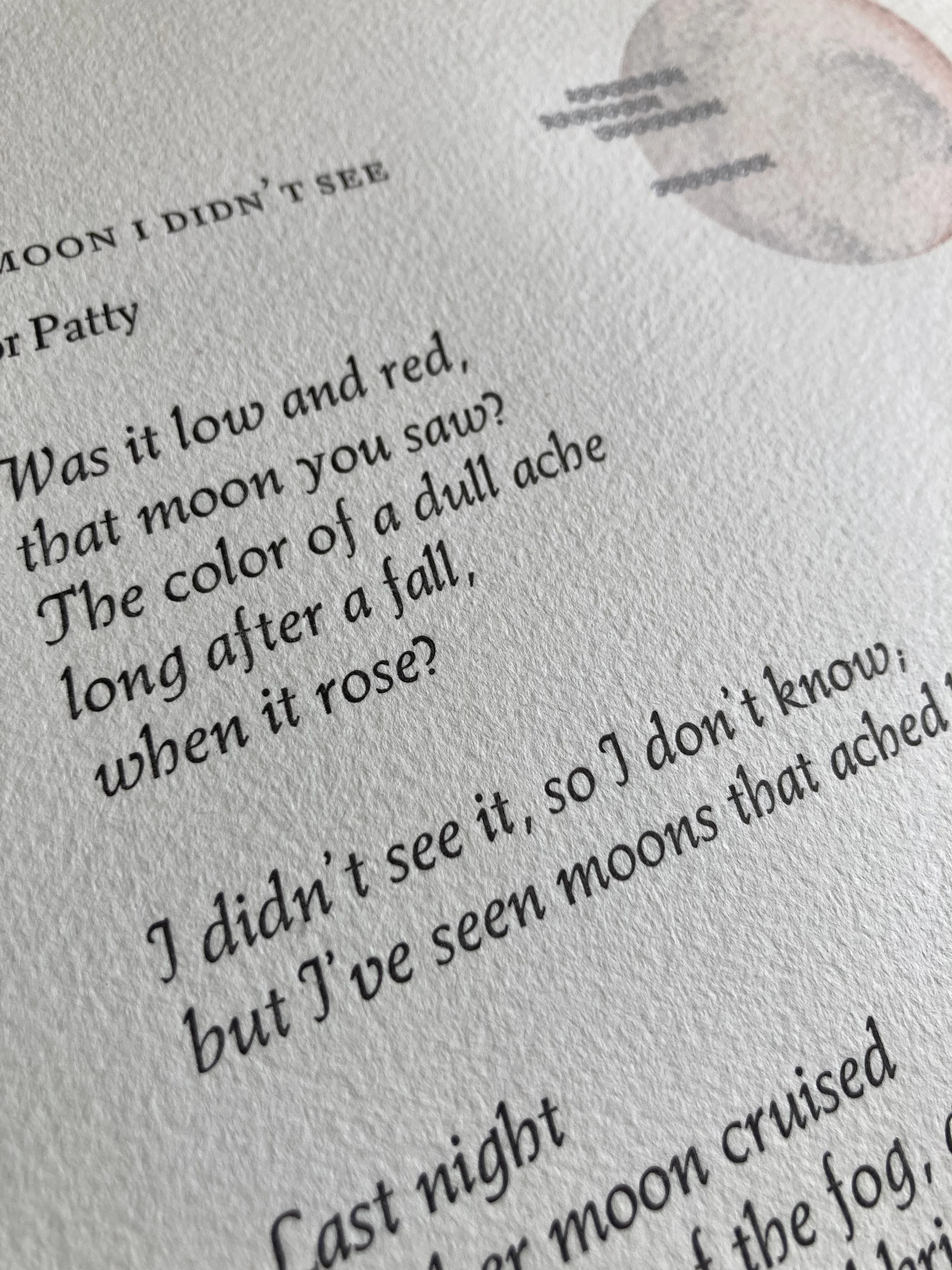 A Moon I Didn't See 3.jpg
