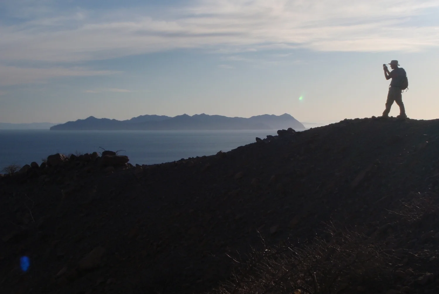 Bennett sighting on Isla Tiburon.JPG