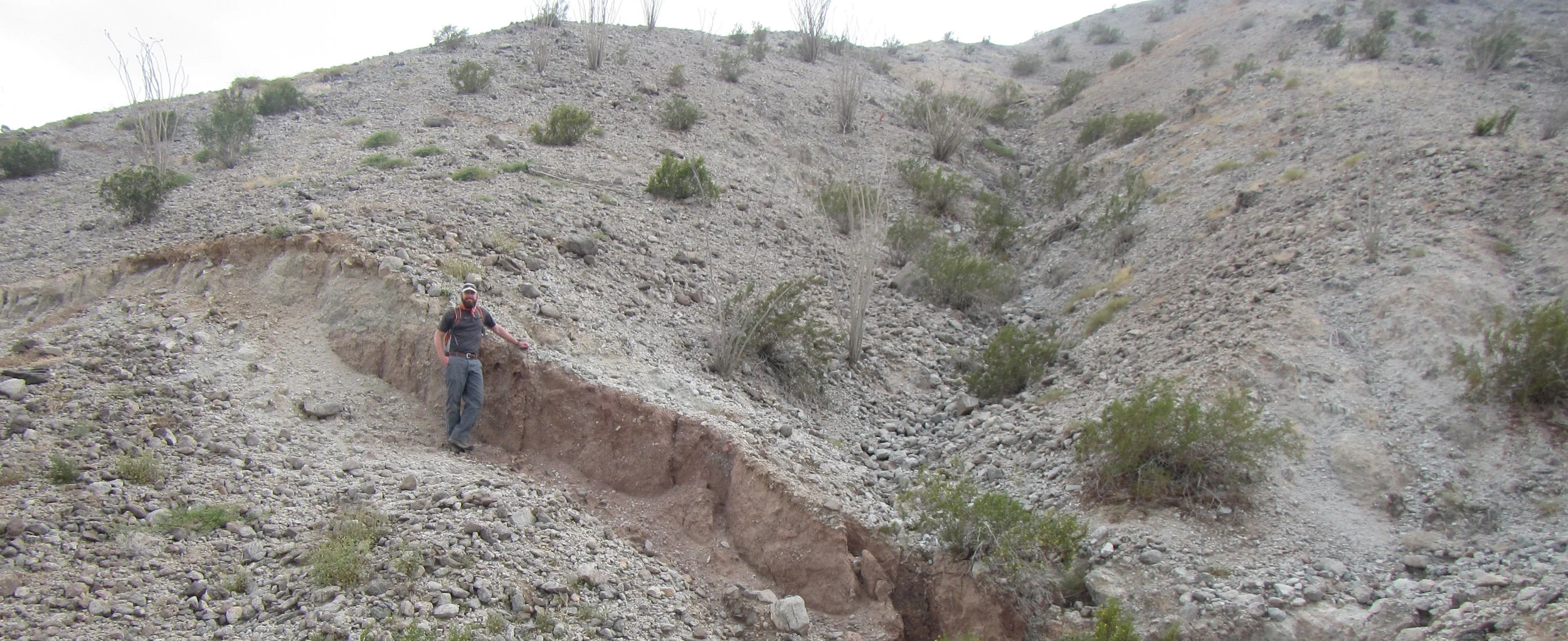 Scott conducts rapid field response to large earthquakes and provides media with post-event interviews and data support.