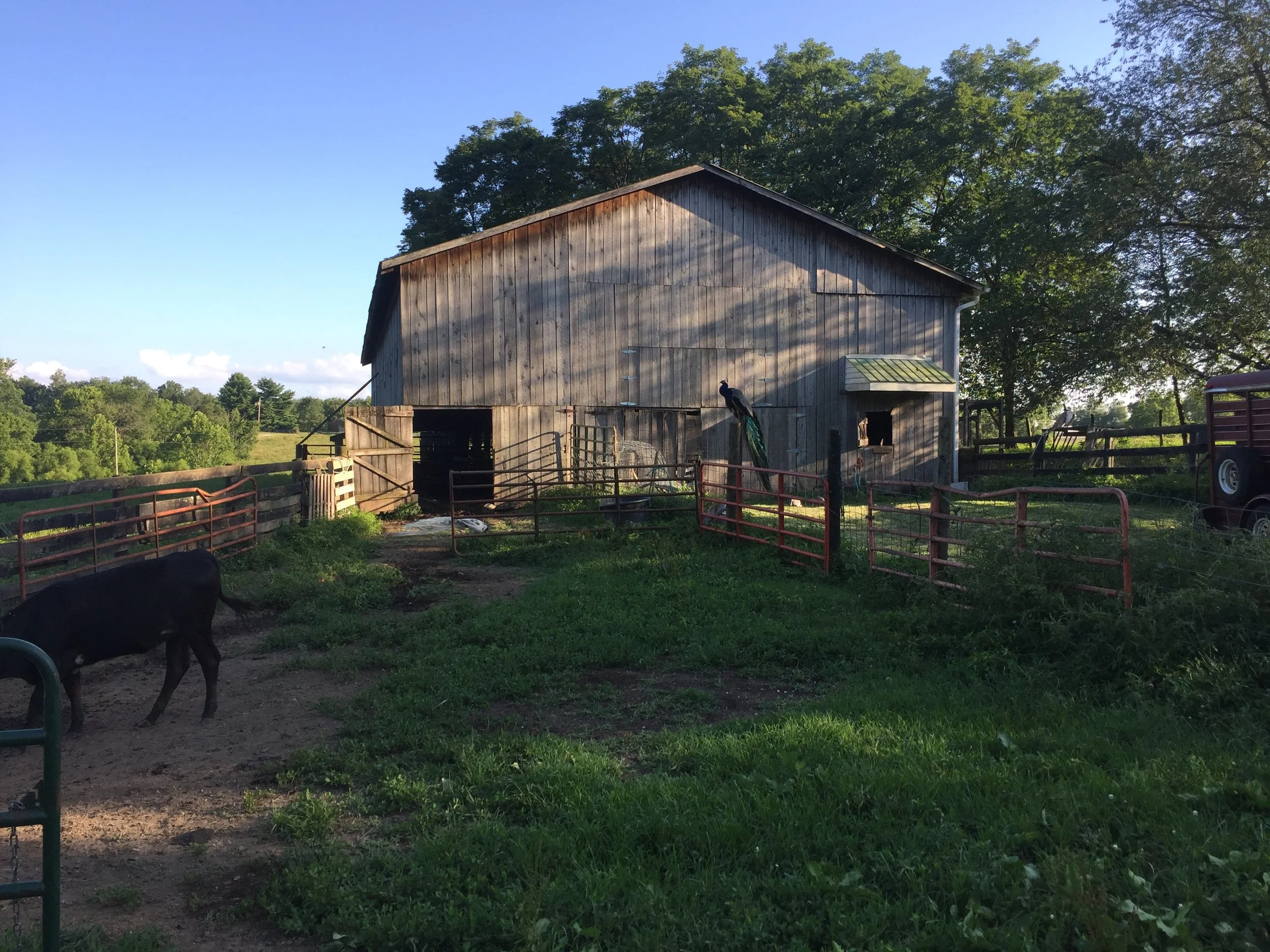  We love Calk Farm 