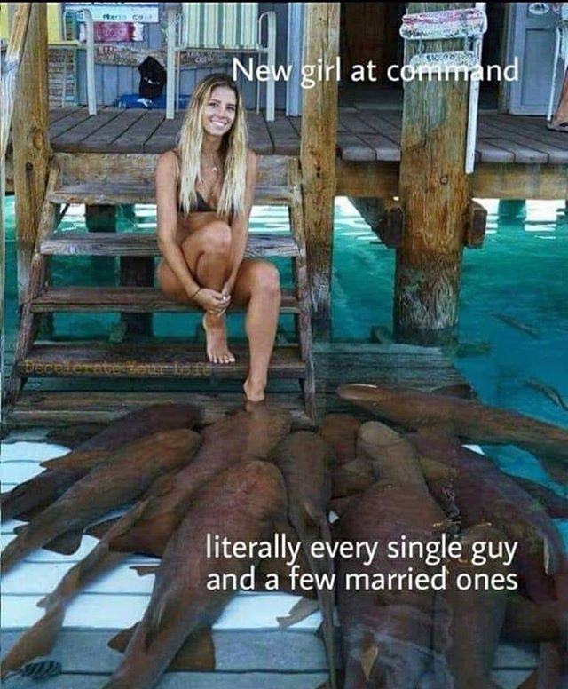 Stole this but true is true.