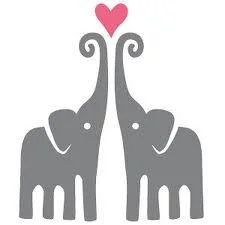 Elephants are humble, sweet, intuitive, intelligent, nurturing companions. Being next to one is incredible. They &nbsp;deserve our protection.