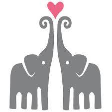 Elephants are humble, sweet, intuitive, intelligent, nurturing companions. Being next to one is incredible. They deserve our protection.
